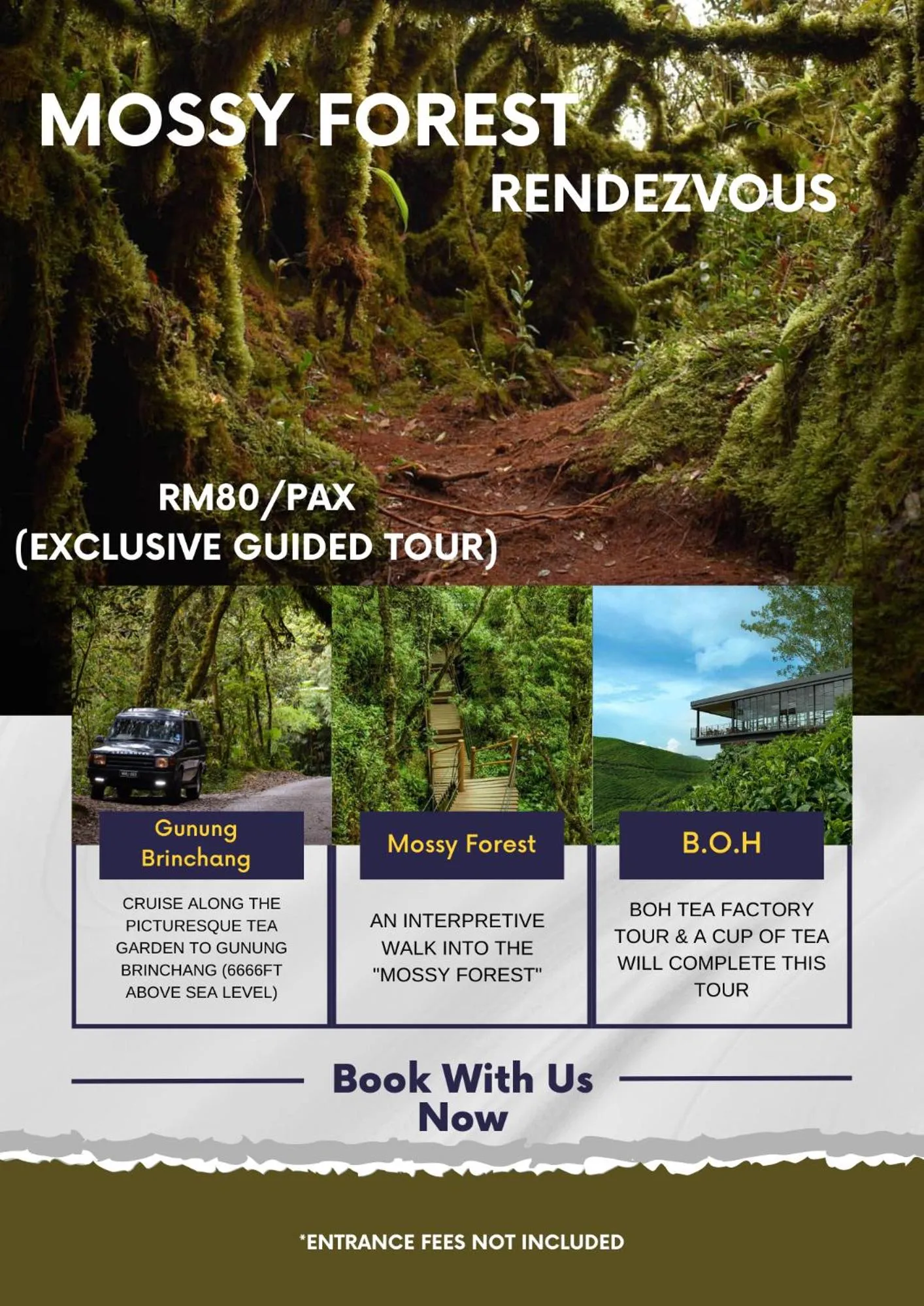 Text overlay in Rovers Inn Guesthouse - Age 11 And Above Only