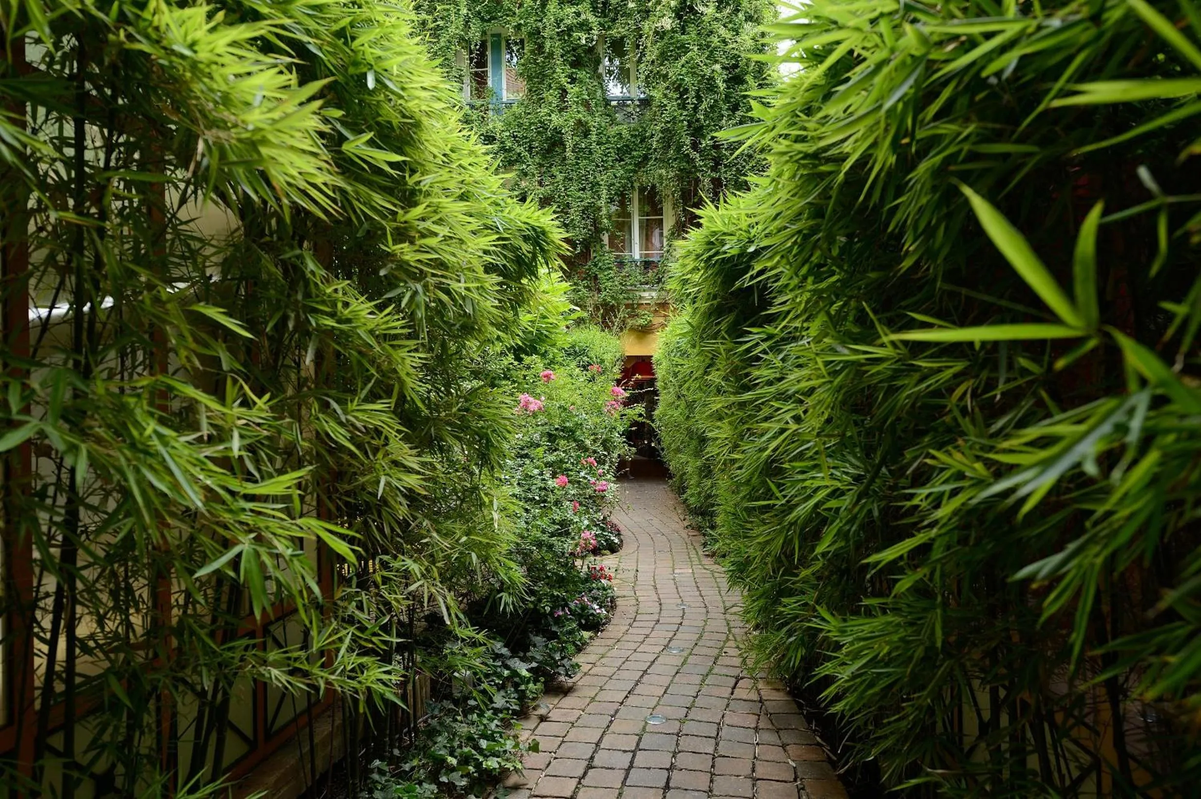 Garden in Les Patios du Marais 1