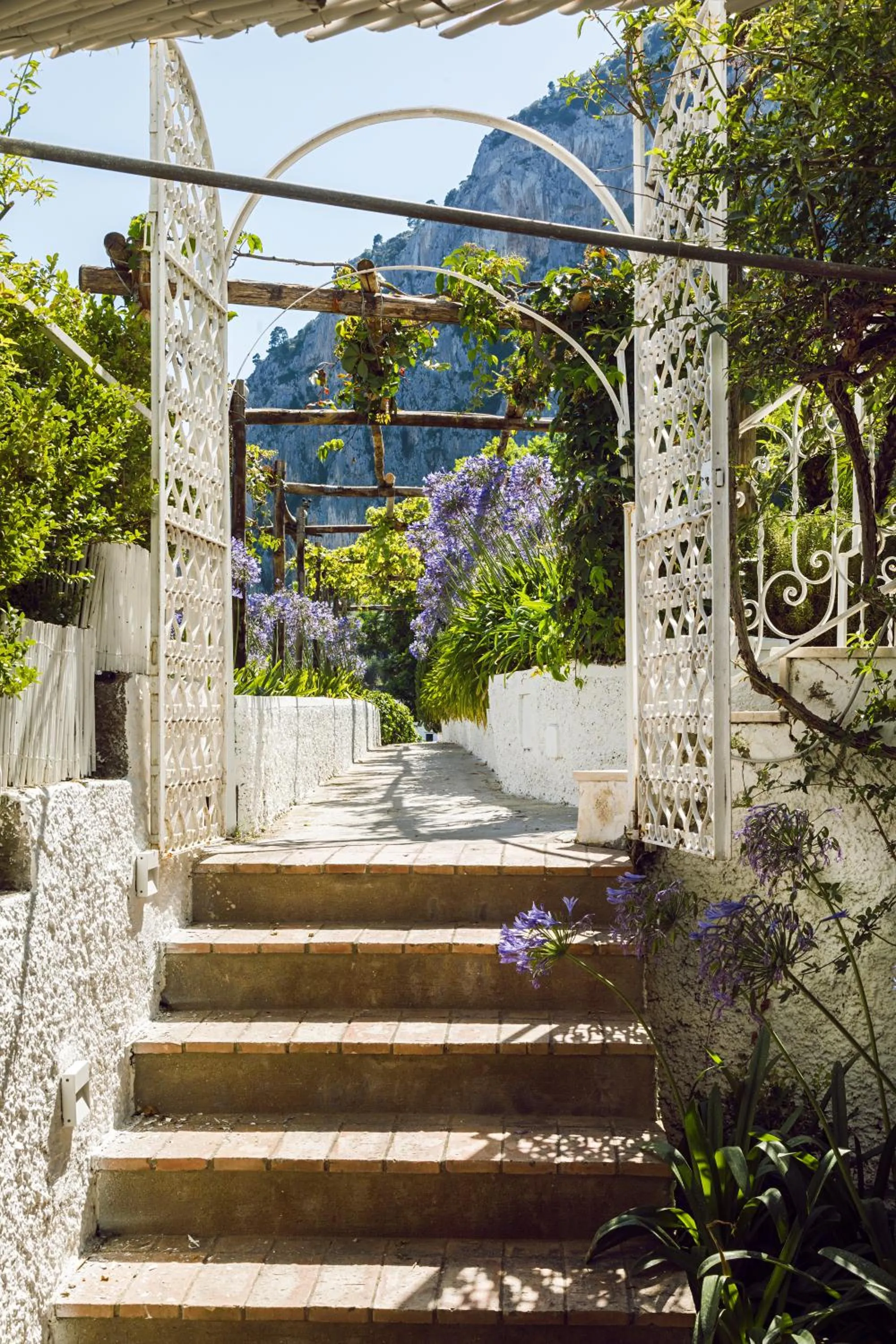 Garden in Villa La Pergola Capri
