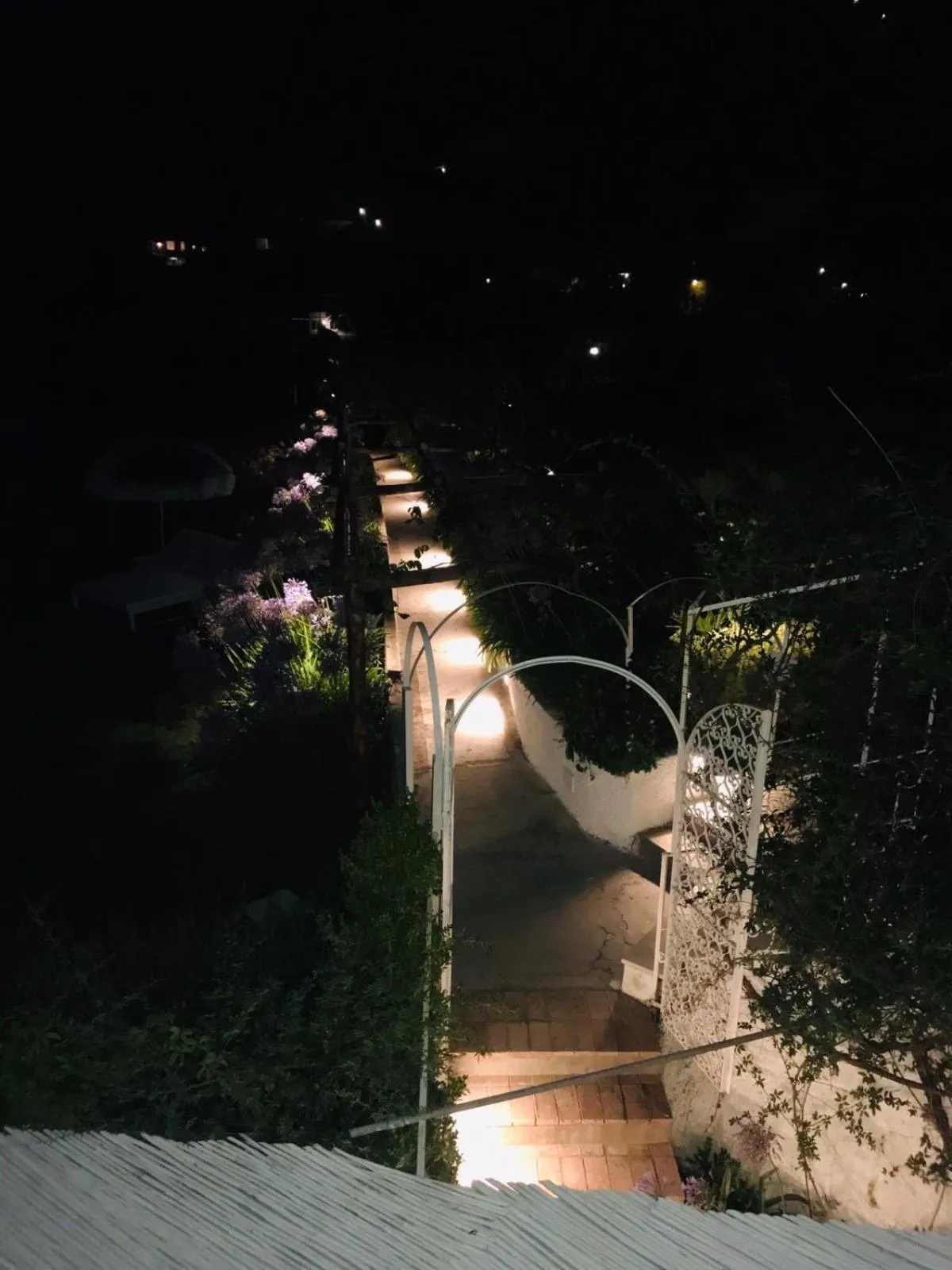 Garden in Villa La Pergola Capri