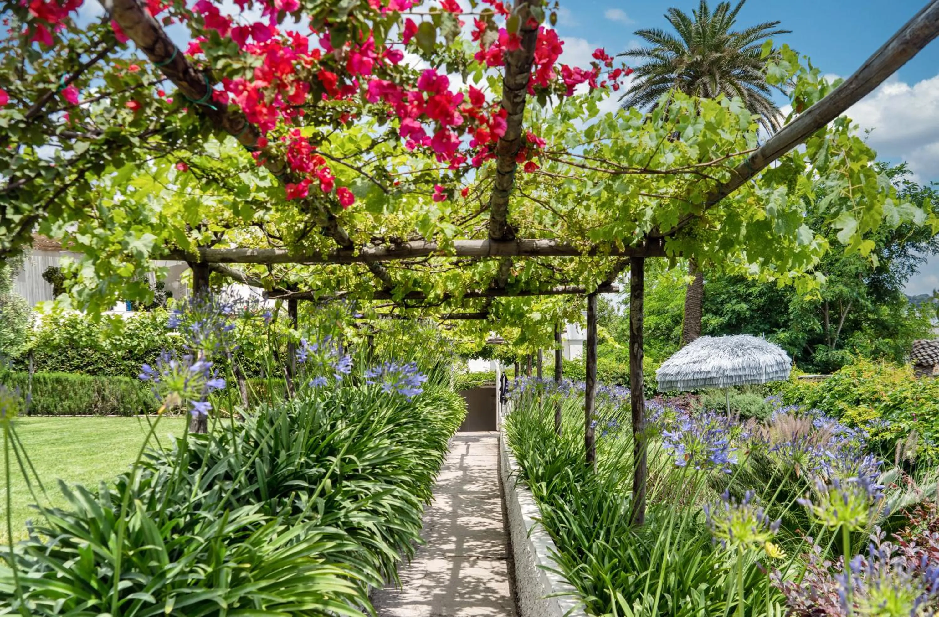 Natural landscape in Villa La Pergola Capri
