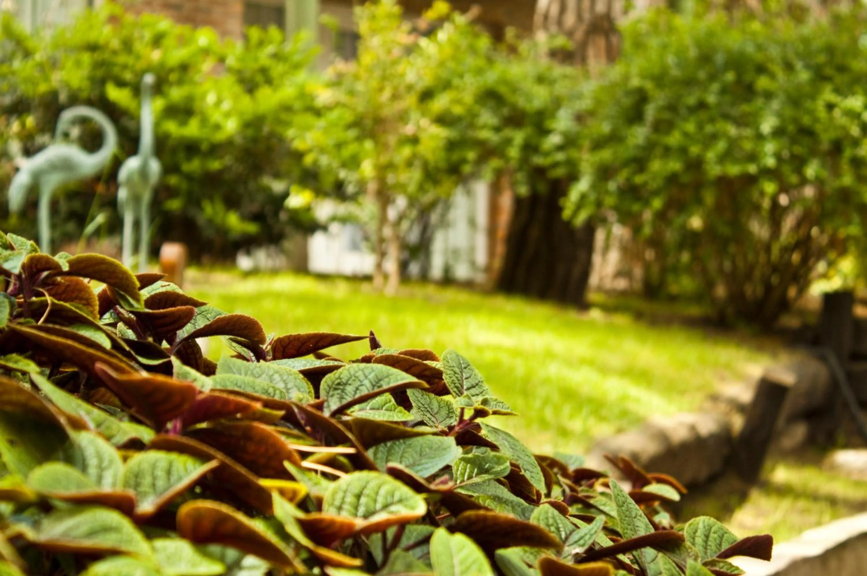 Day in Carilo Village Apart Hotel & Spa