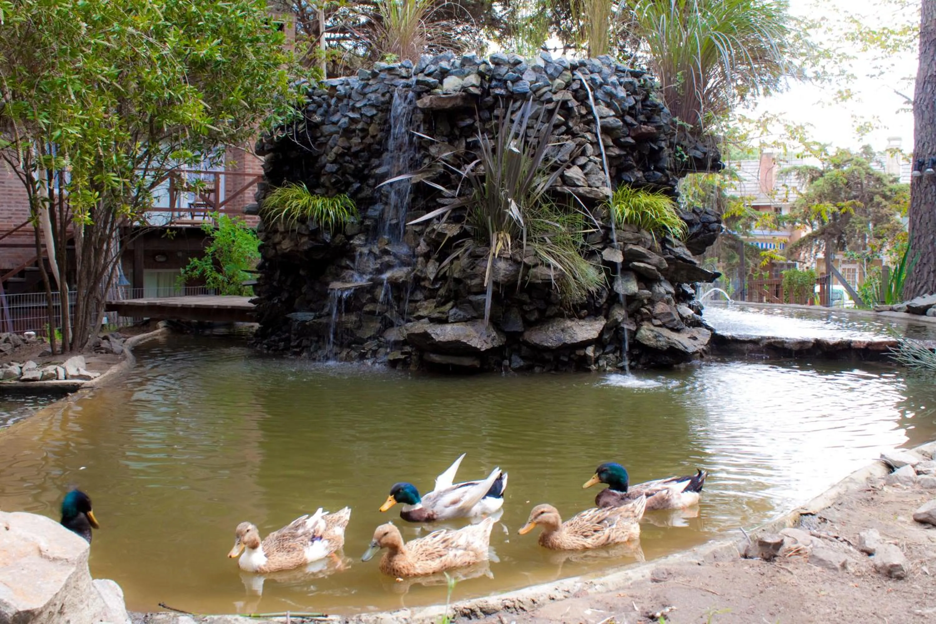 Day in Carilo Village Apart Hotel & Spa