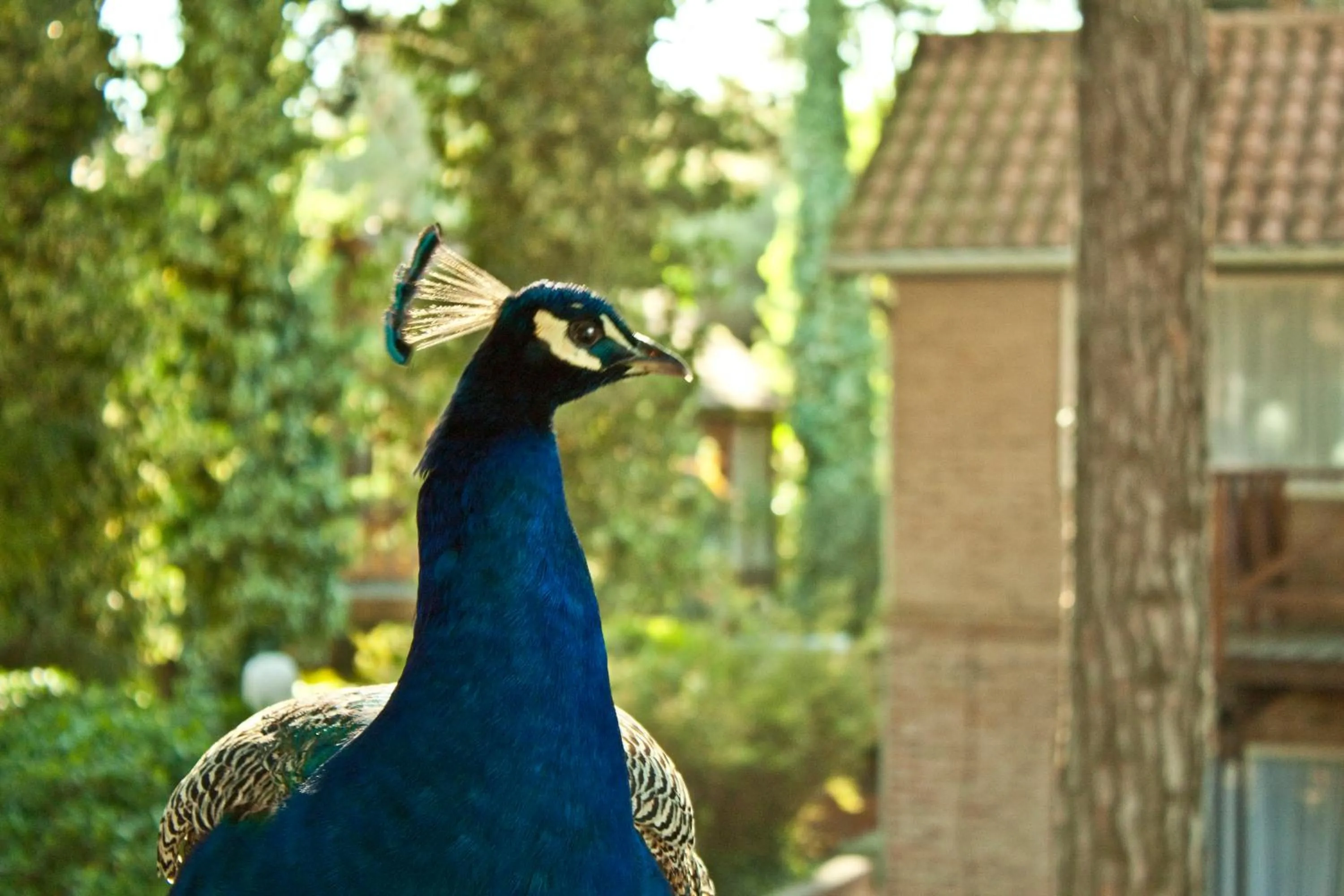 Day in Carilo Village Apart Hotel & Spa