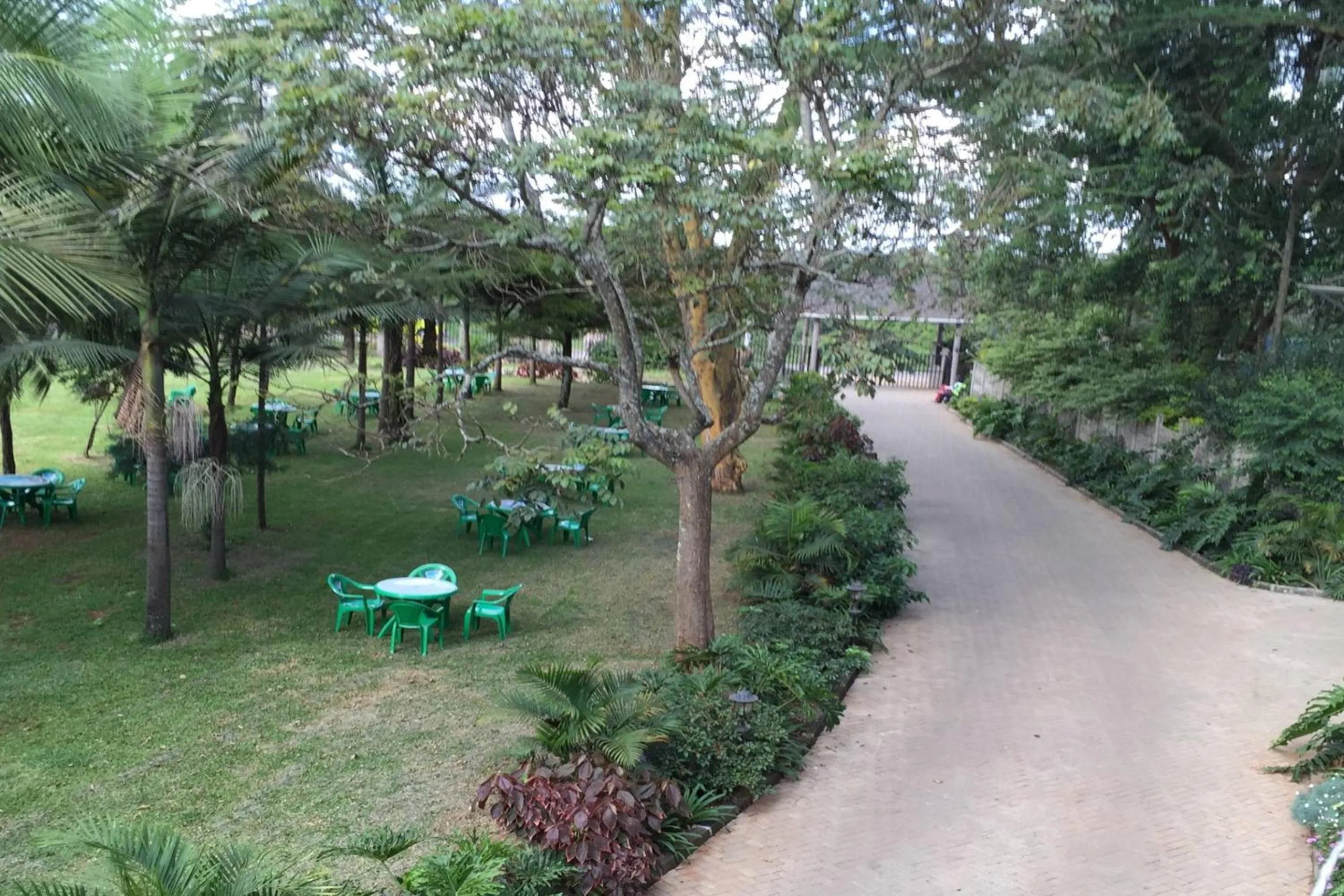 Garden in Park Place Hotel