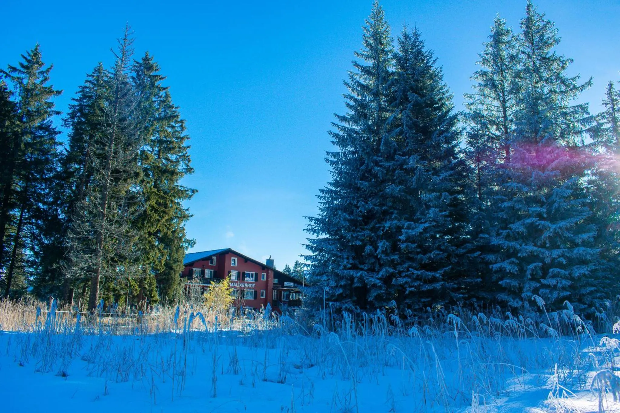 Property building in Hotel Malixerhof