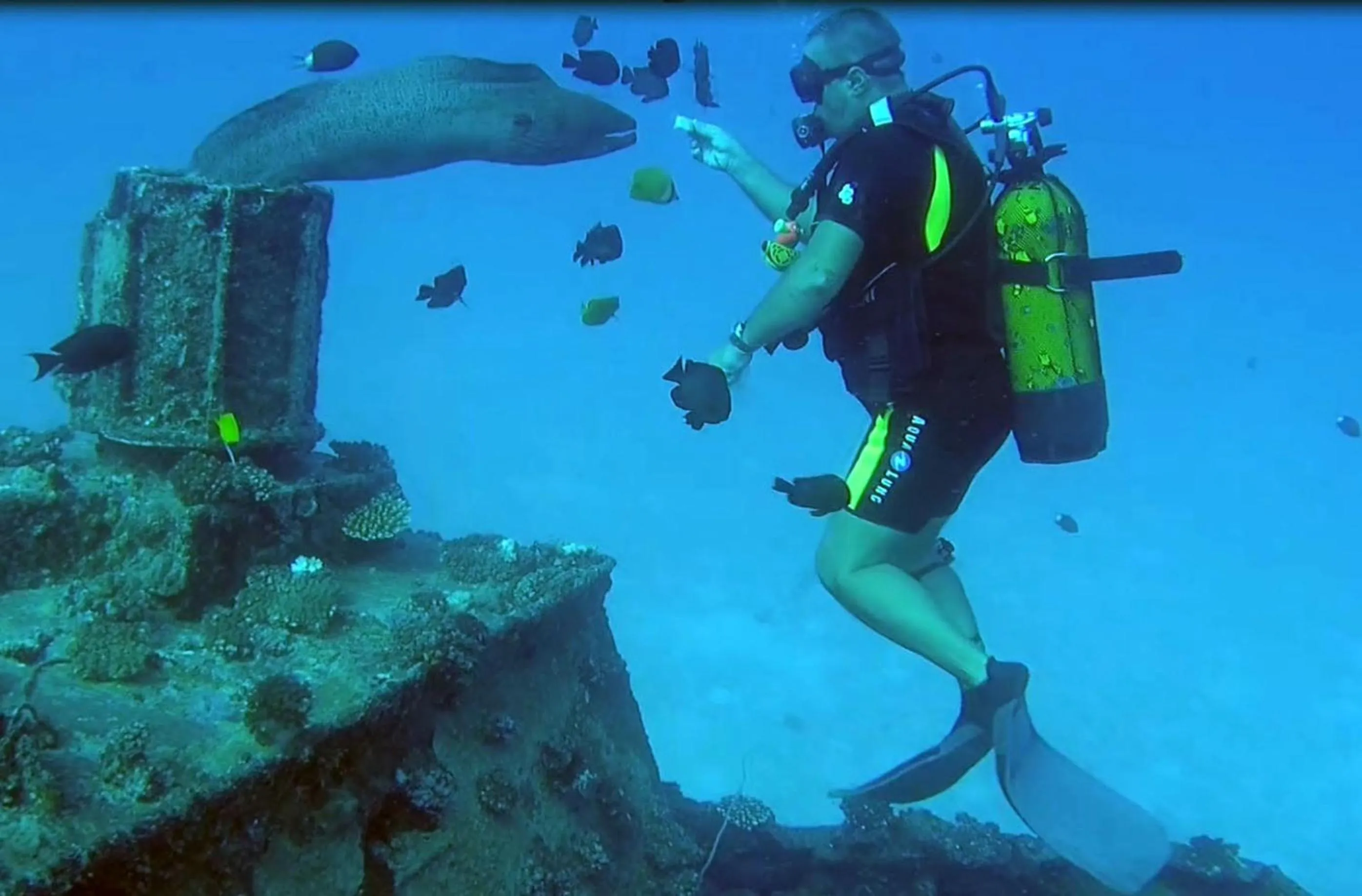 Activities in Cosy Guest House Sous le Badamier