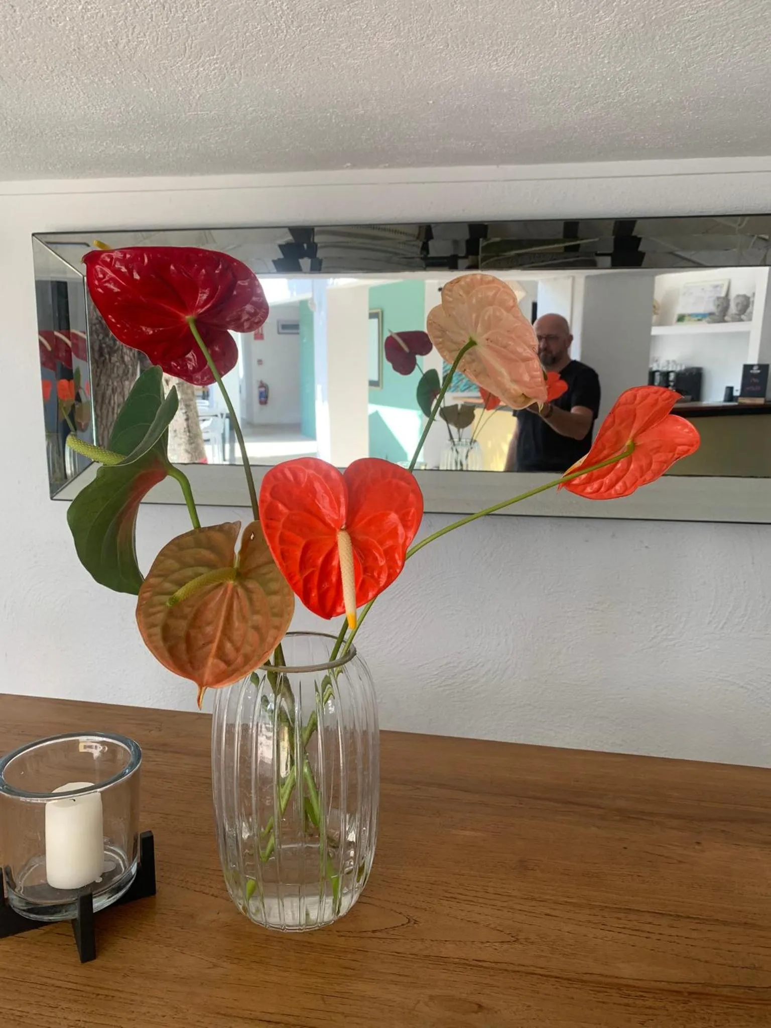 Patio in Cosy Guest House Sous le Badamier