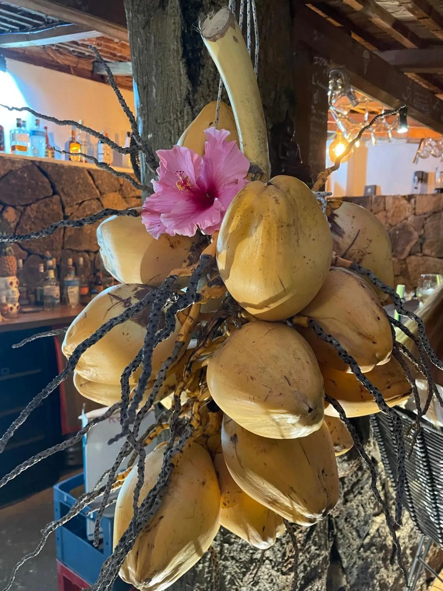 Food and drinks in Cosy Guest House Sous le Badamier