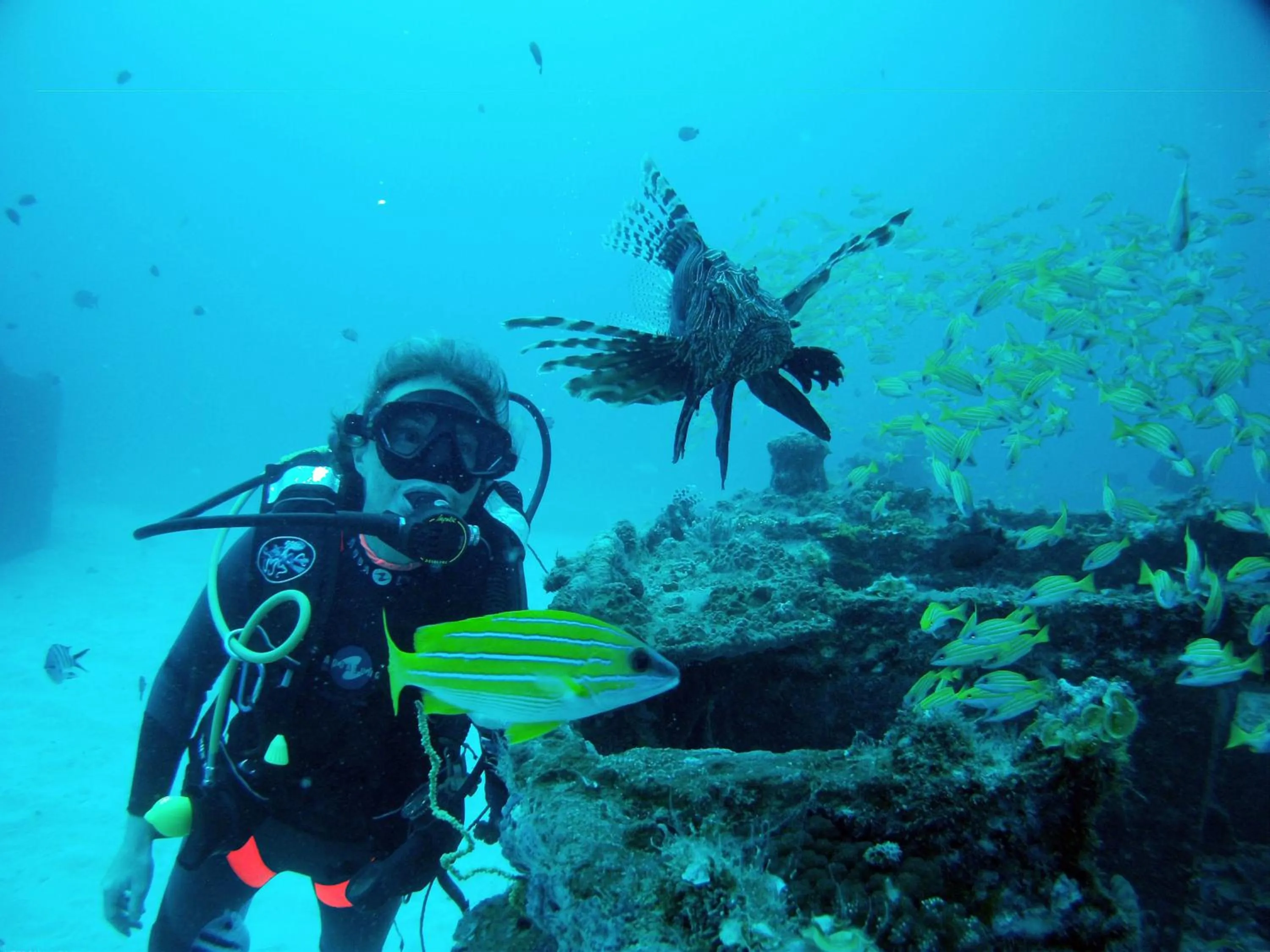 Off site in Cosy Guest House Sous le Badamier