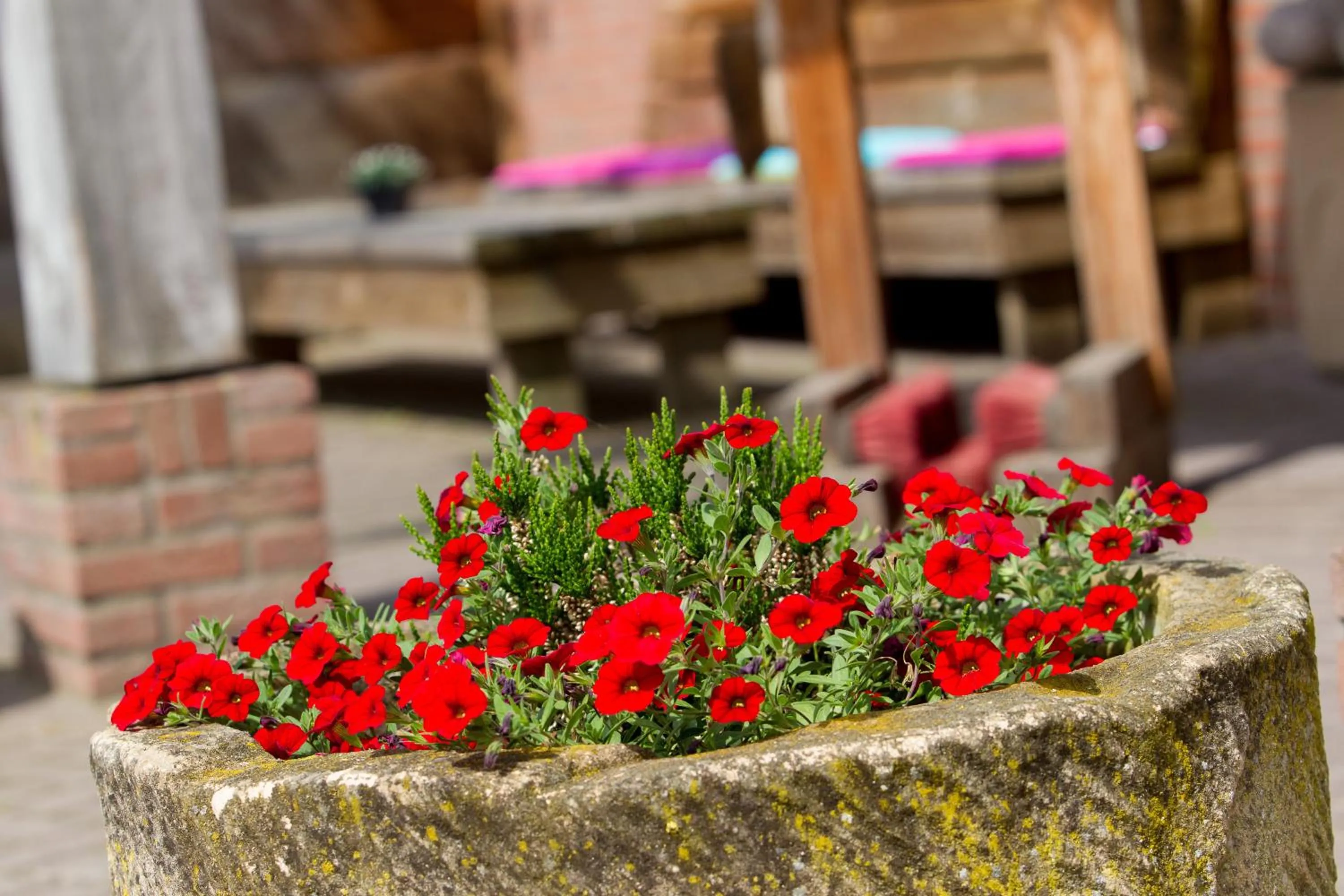 Balcony/Terrace in Hotel & Lodges Erve Bruggert