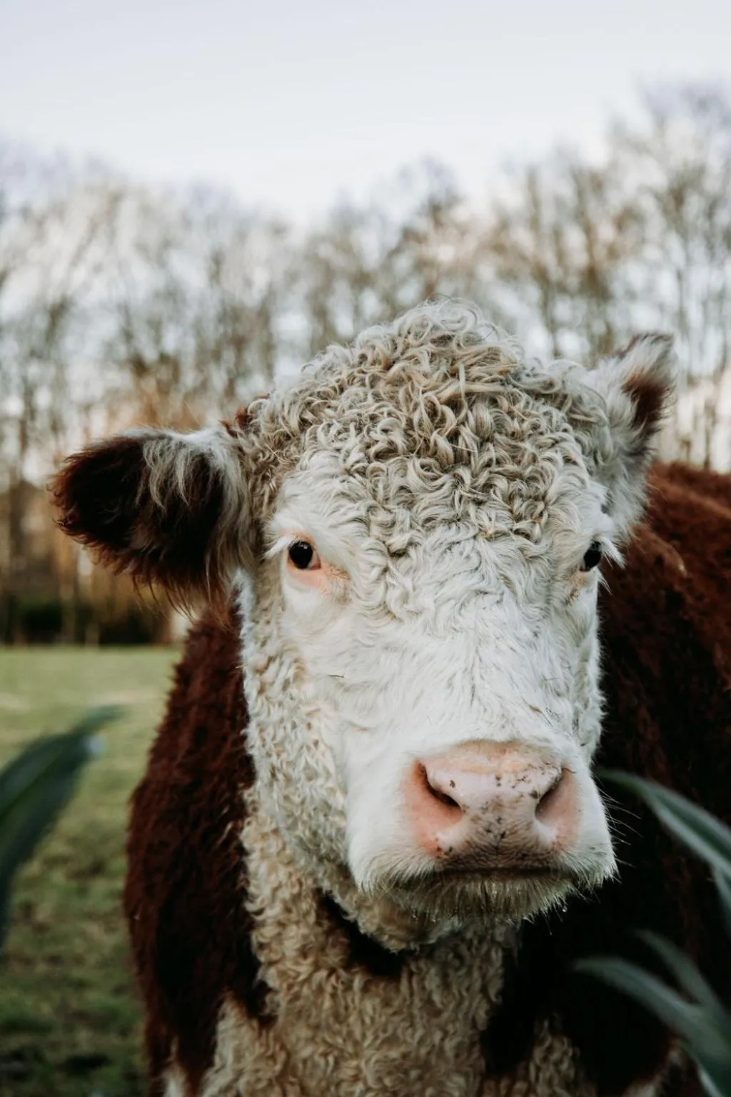 View (from property/room) in Hotel & Lodges Erve Bruggert