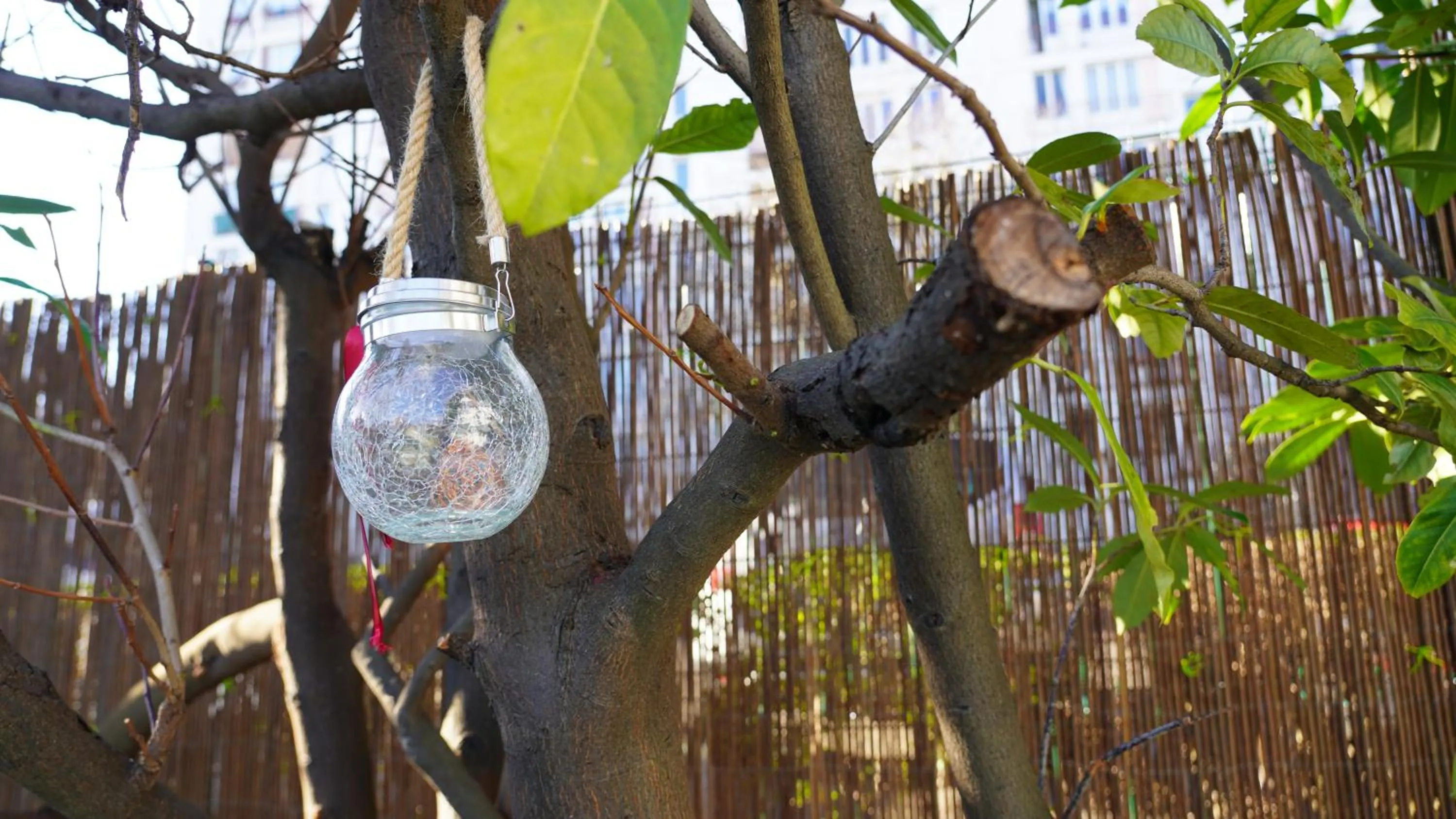 Property building in KoalaWakeup