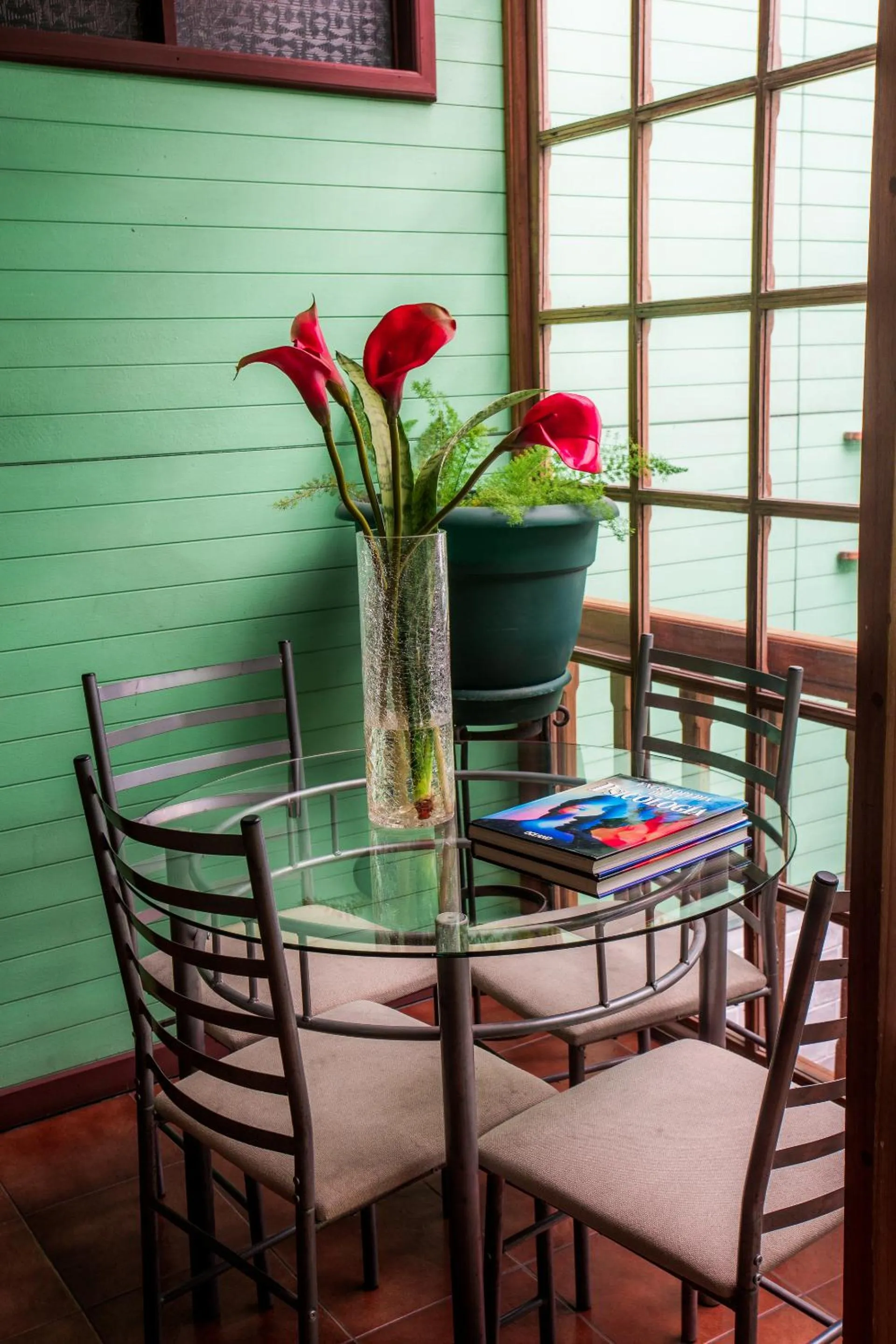 Area and facilities in Boutique Hotel Casa Orquídeas