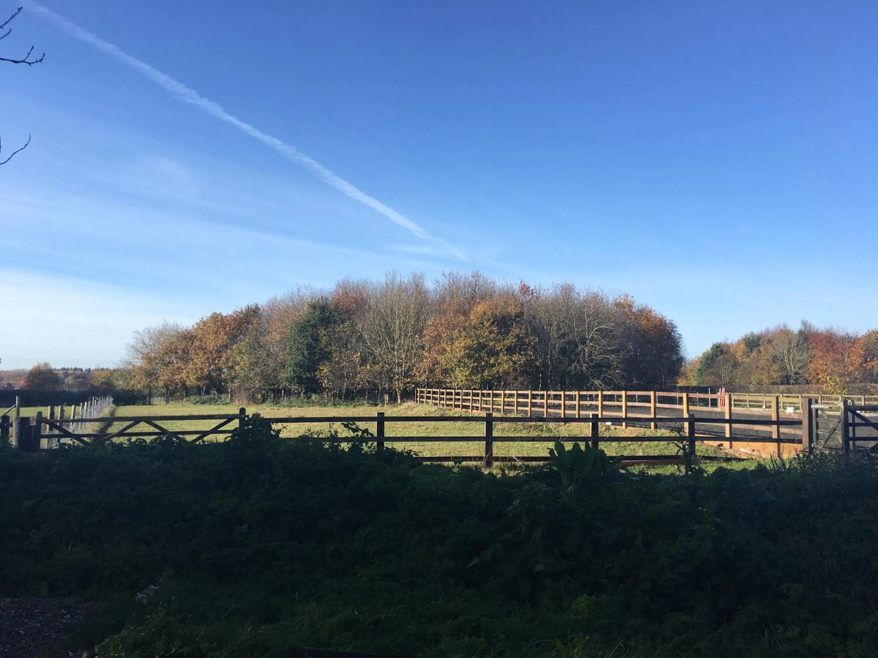 Natural landscape in the Orangery - BnB Suites