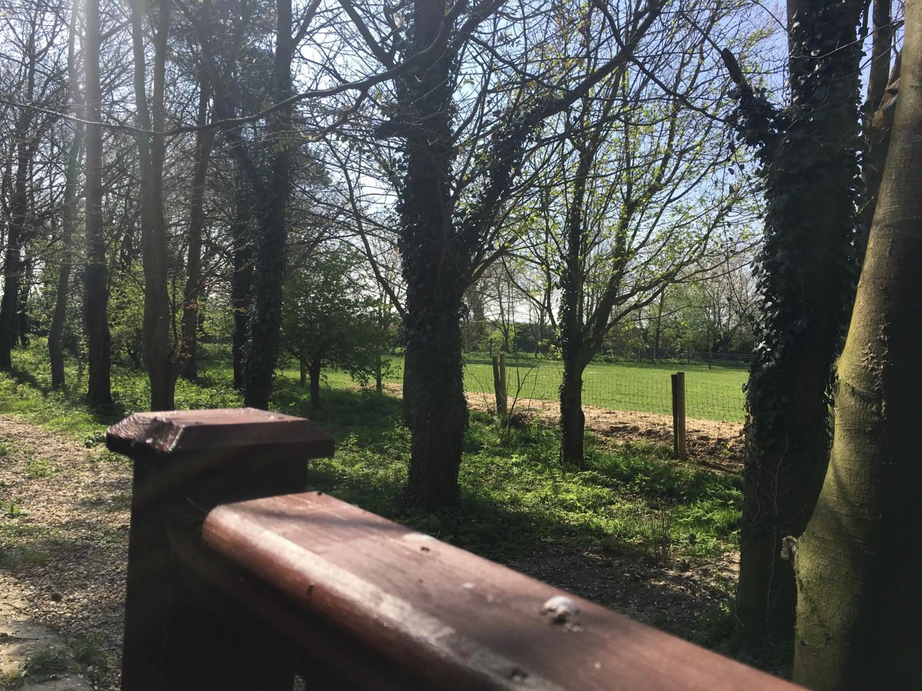 Property building in the Orangery - BnB Suites