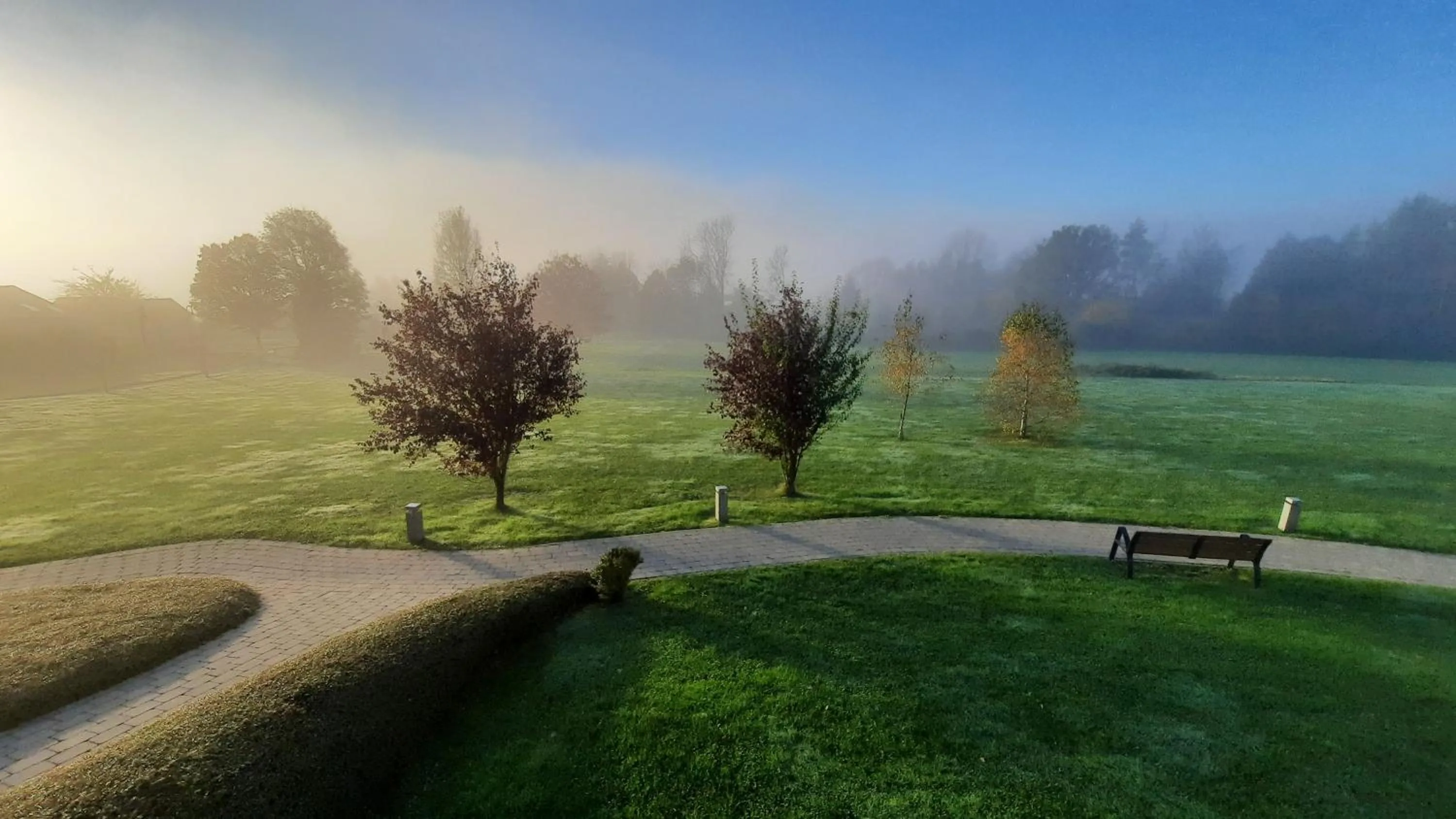 Garden in Maisons de Vacances Azur en Ardenne