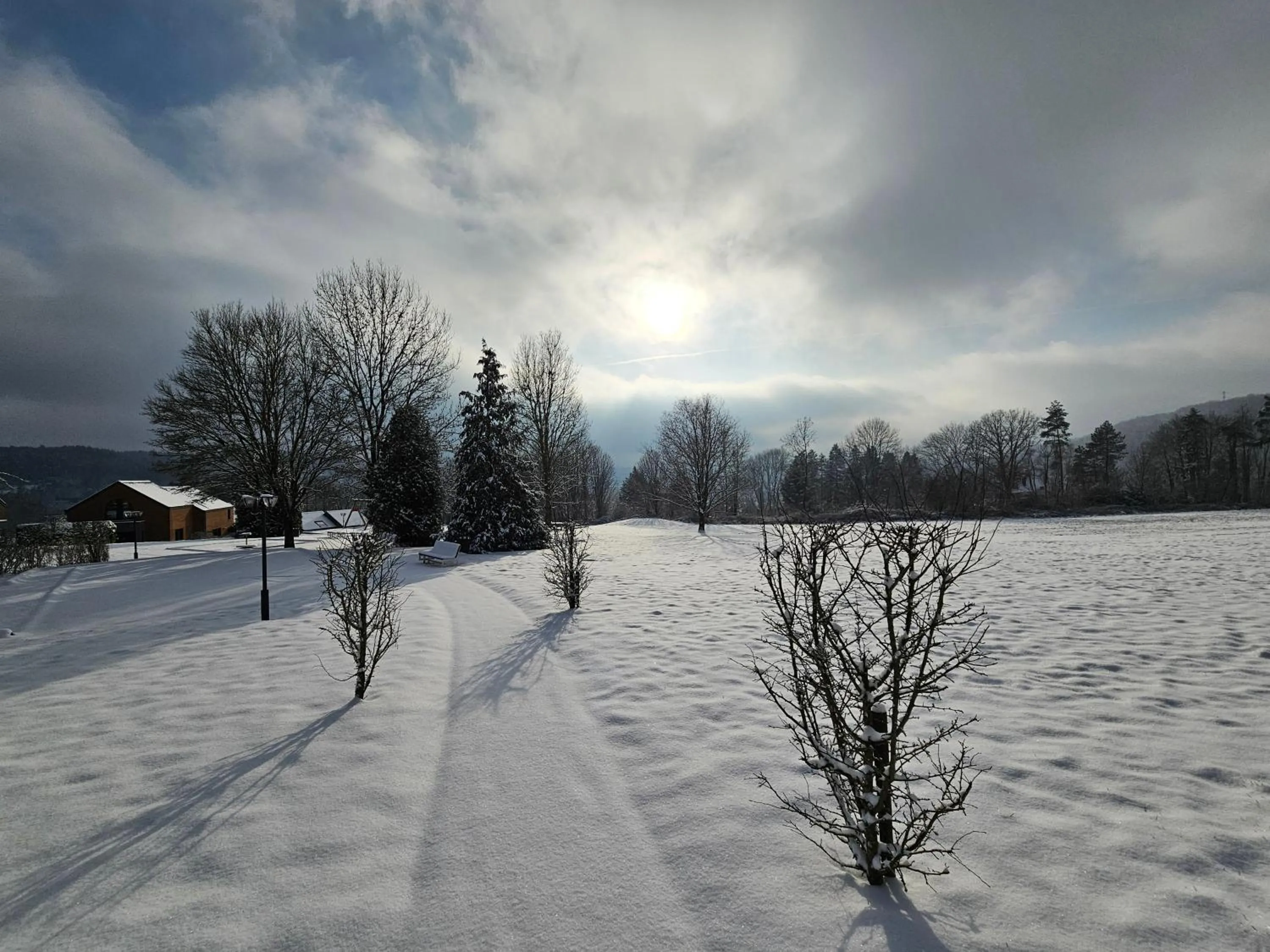 Garden view in Maisons de Vacances Azur en Ardenne