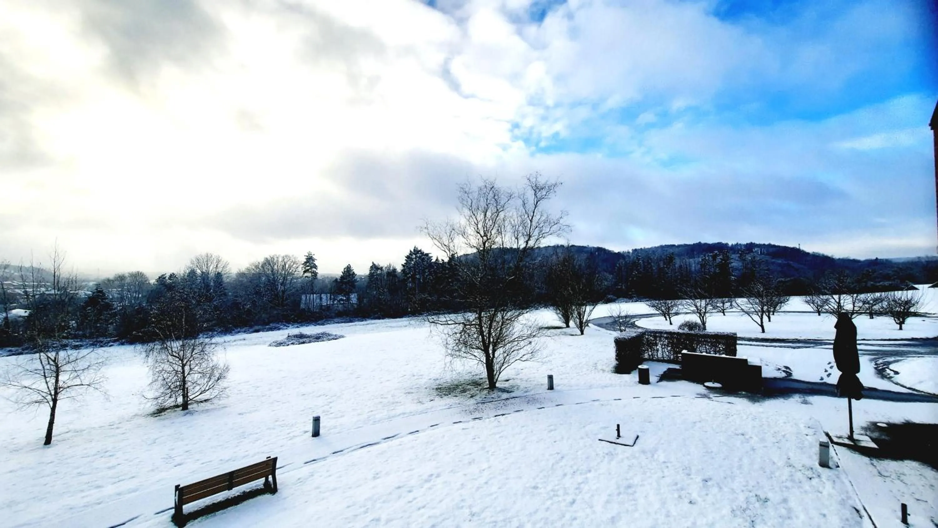 Garden in Maisons de Vacances Azur en Ardenne