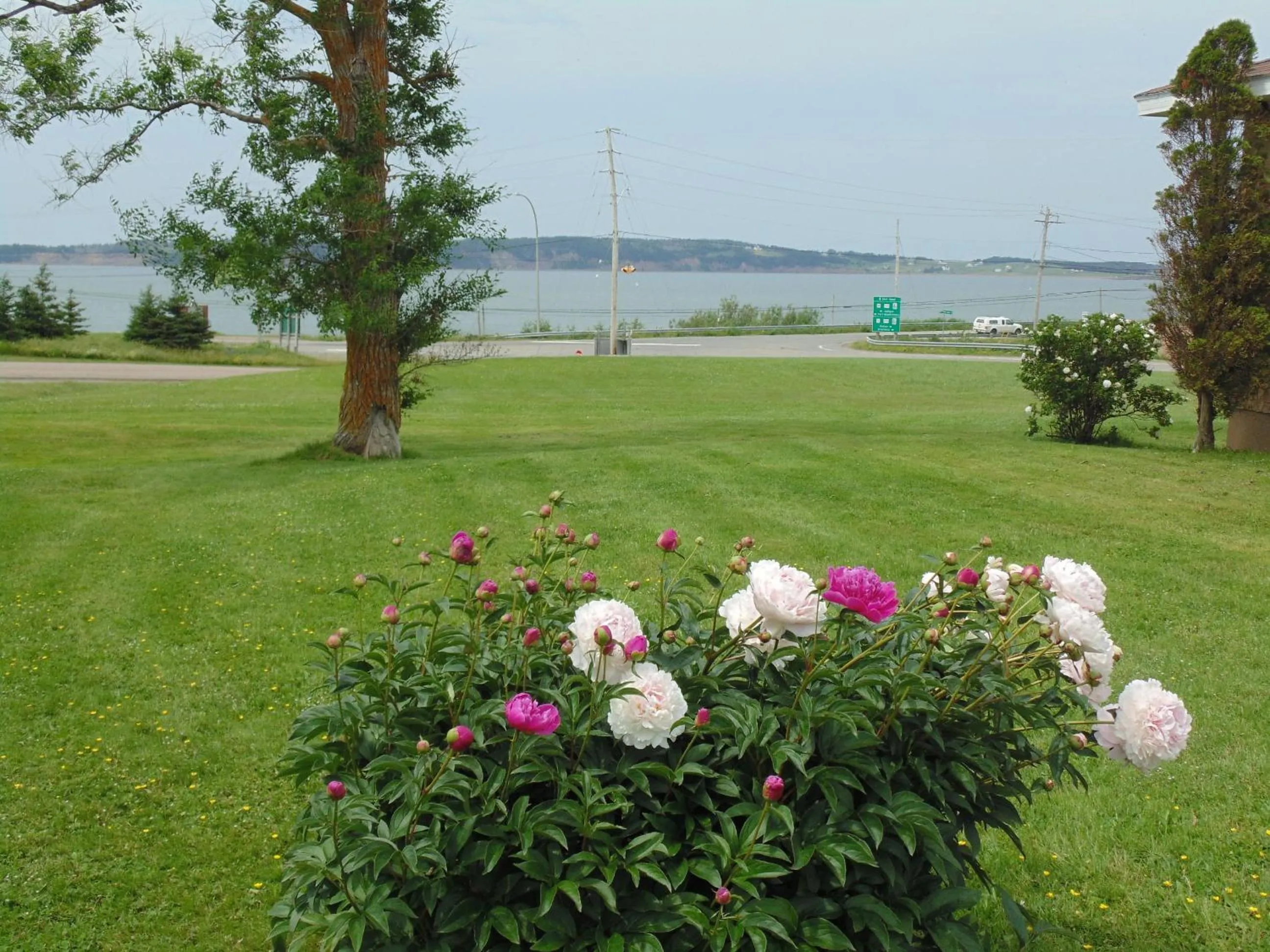 Garden in Hebridean Motel