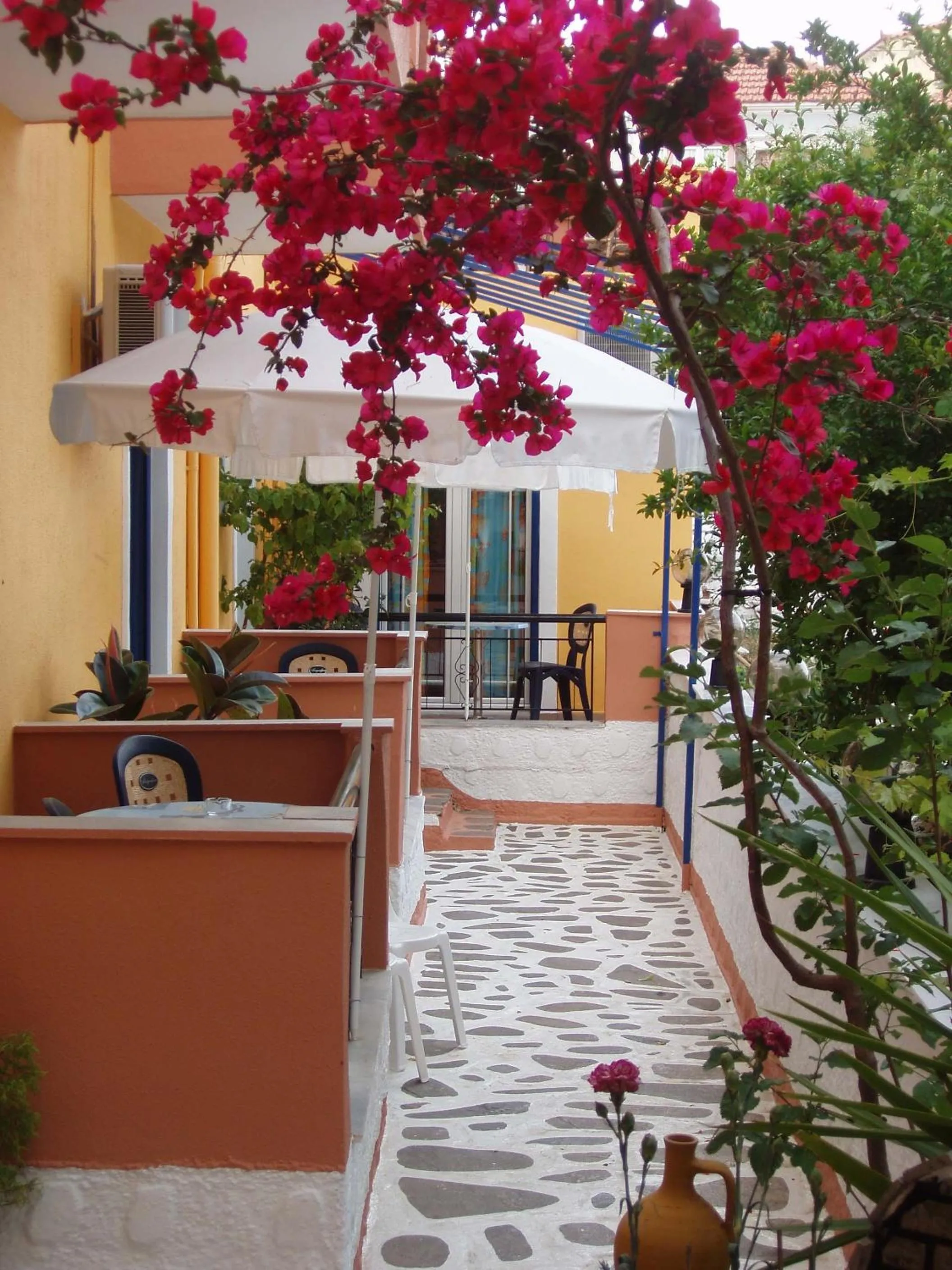 Studios Cosmopolitan