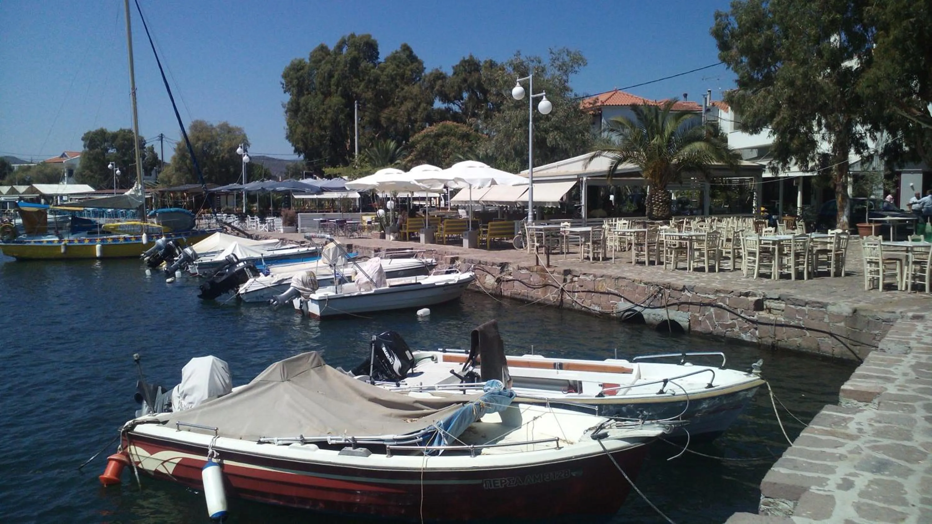 Property building in Studios Cosmopolitan