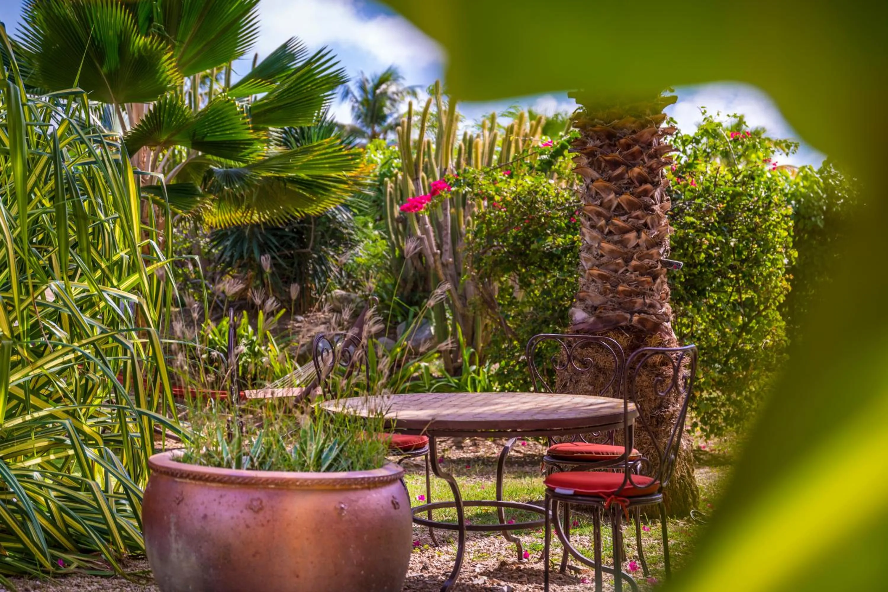 Garden in Orient Bay Palm Court Residence 4 Stars