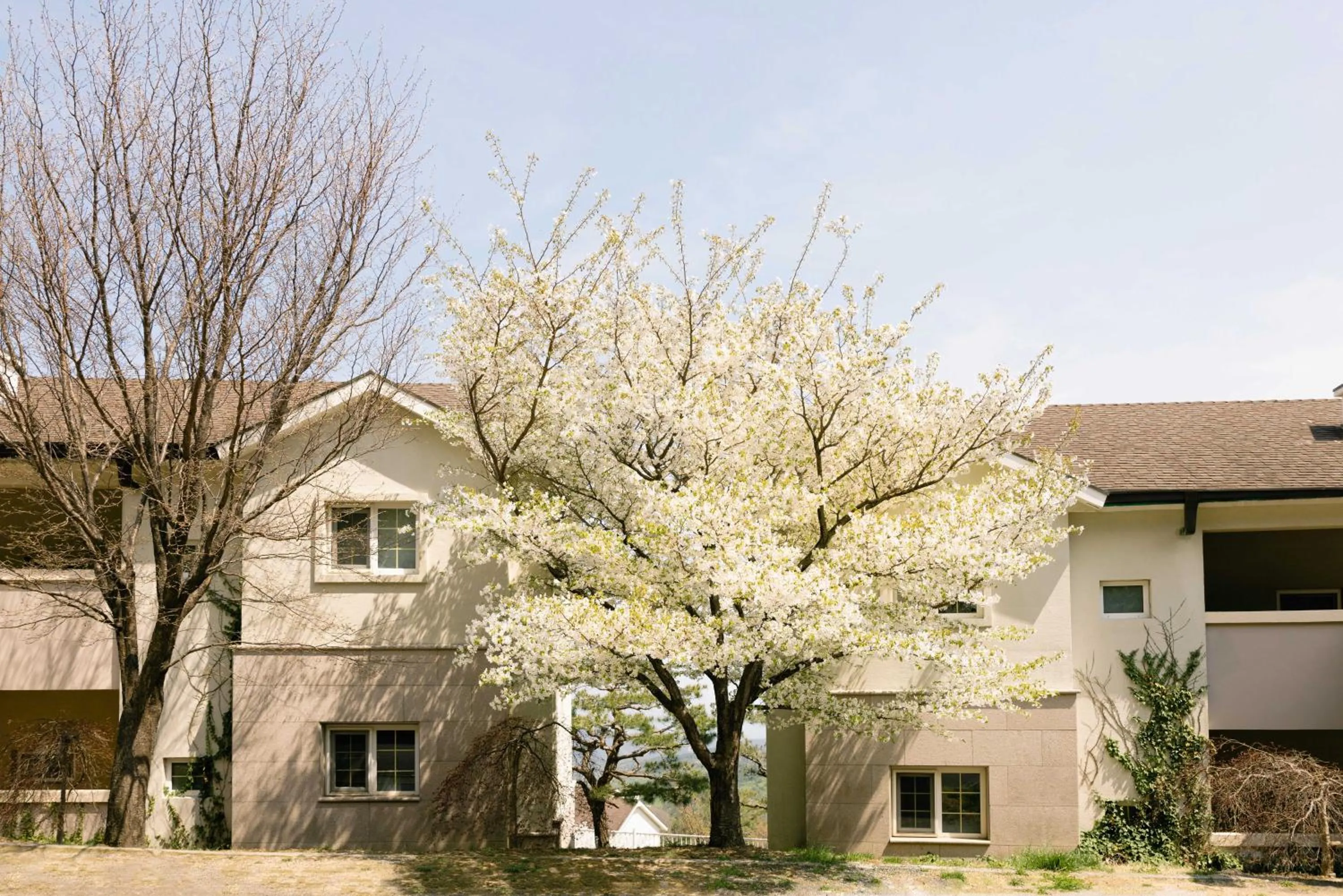 Property building in Gyeongju Mauna Ocean Resort