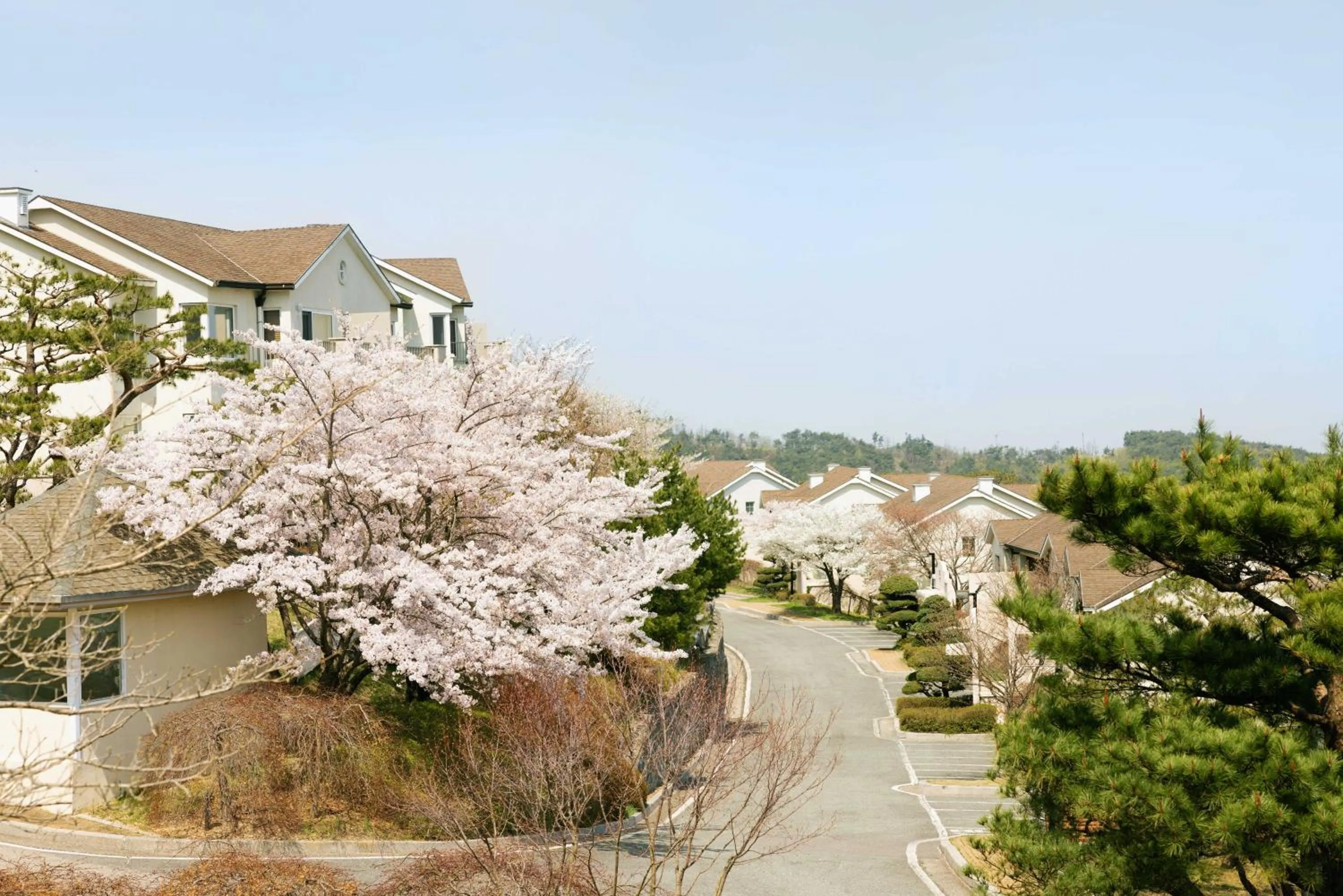 Natural landscape in Gyeongju Mauna Ocean Resort