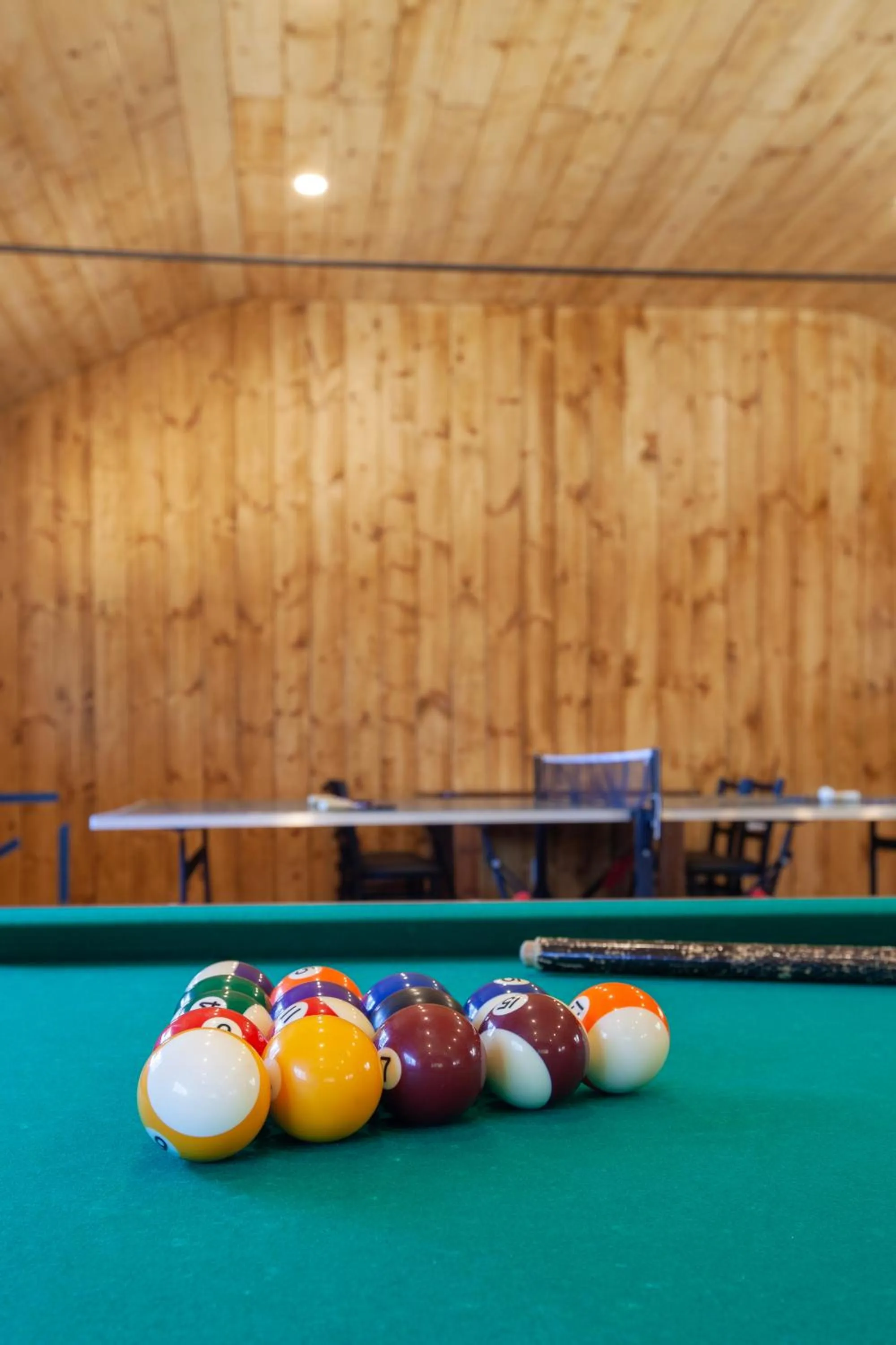 Billiard in Tahquitz Pines Retreat