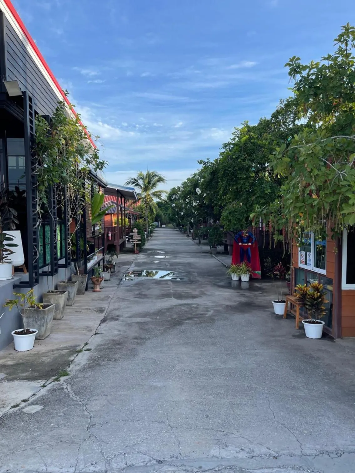 View (from property/room) in Kalae Resort