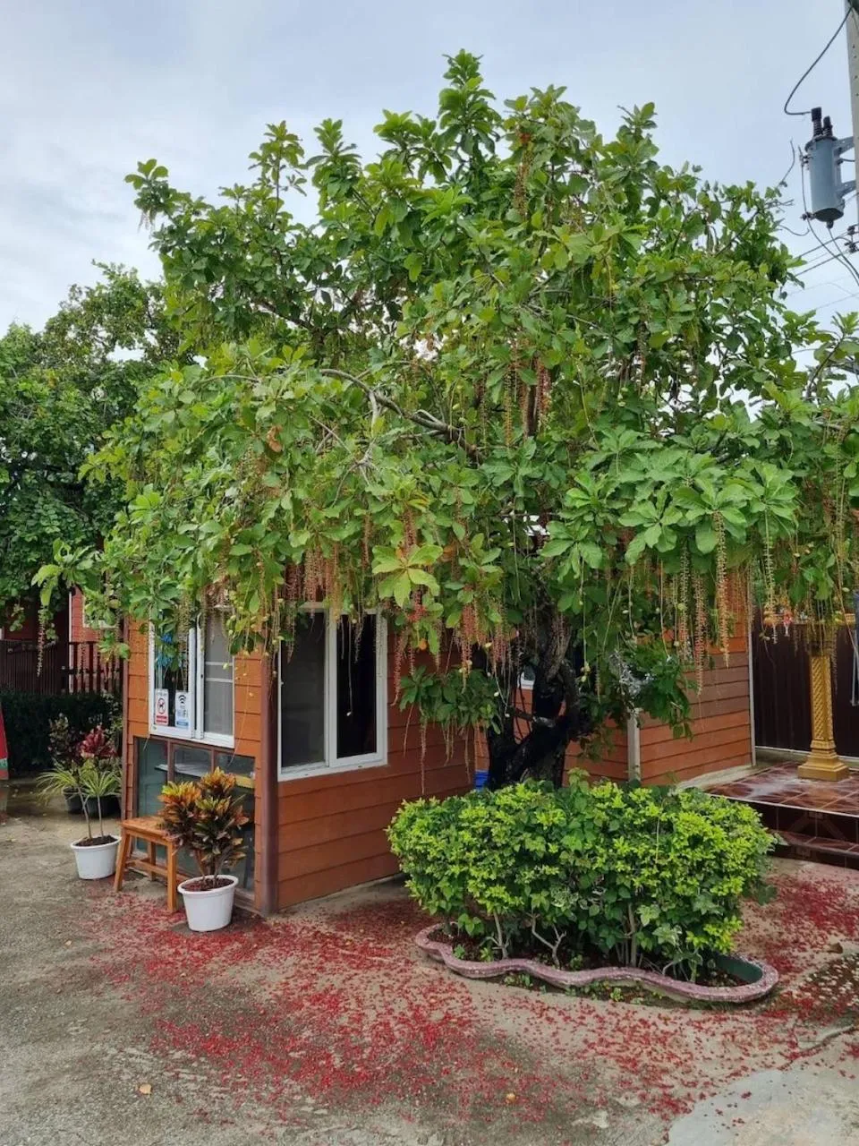 Garden in Kalae Resort