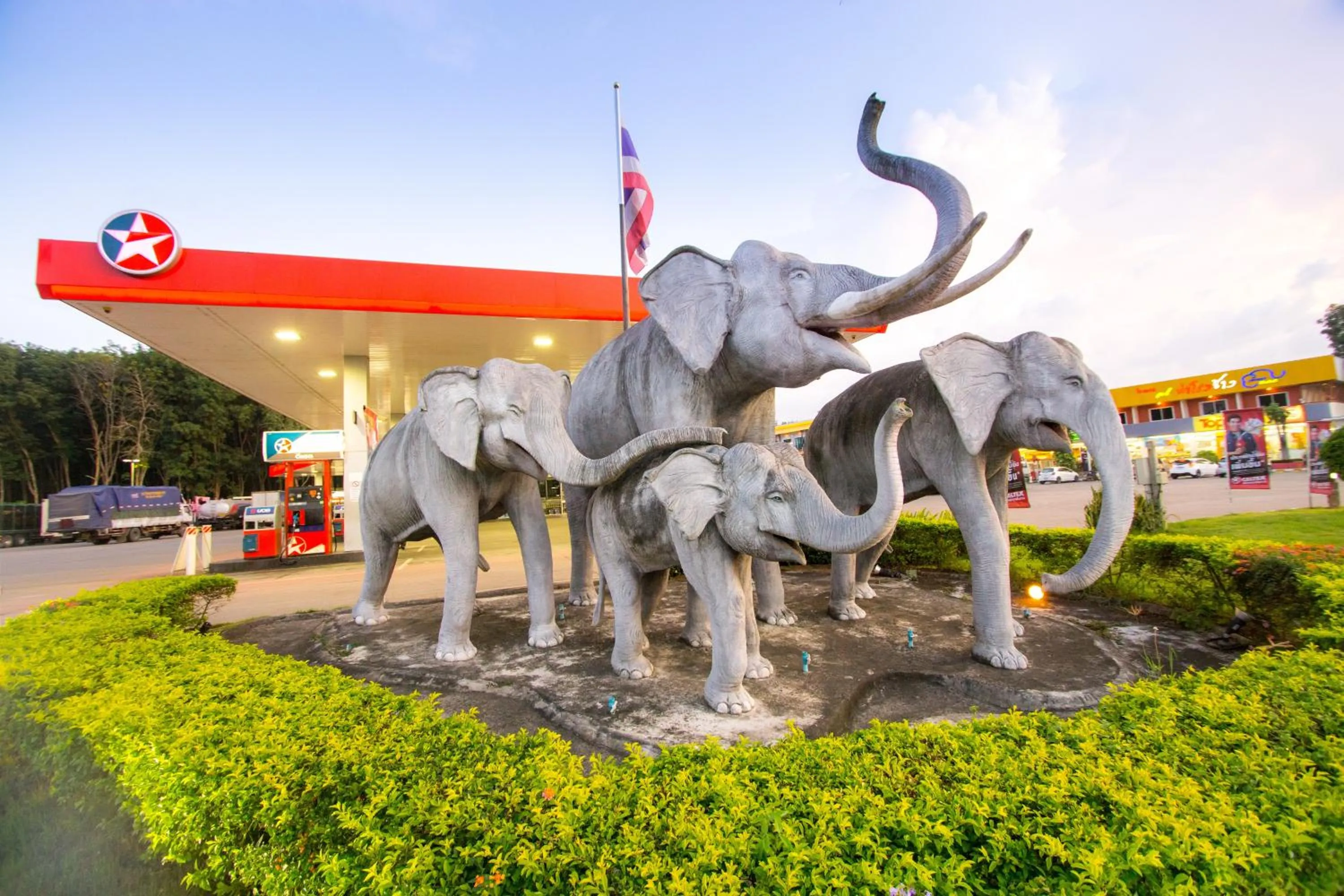 Other in The Lephant Hotel