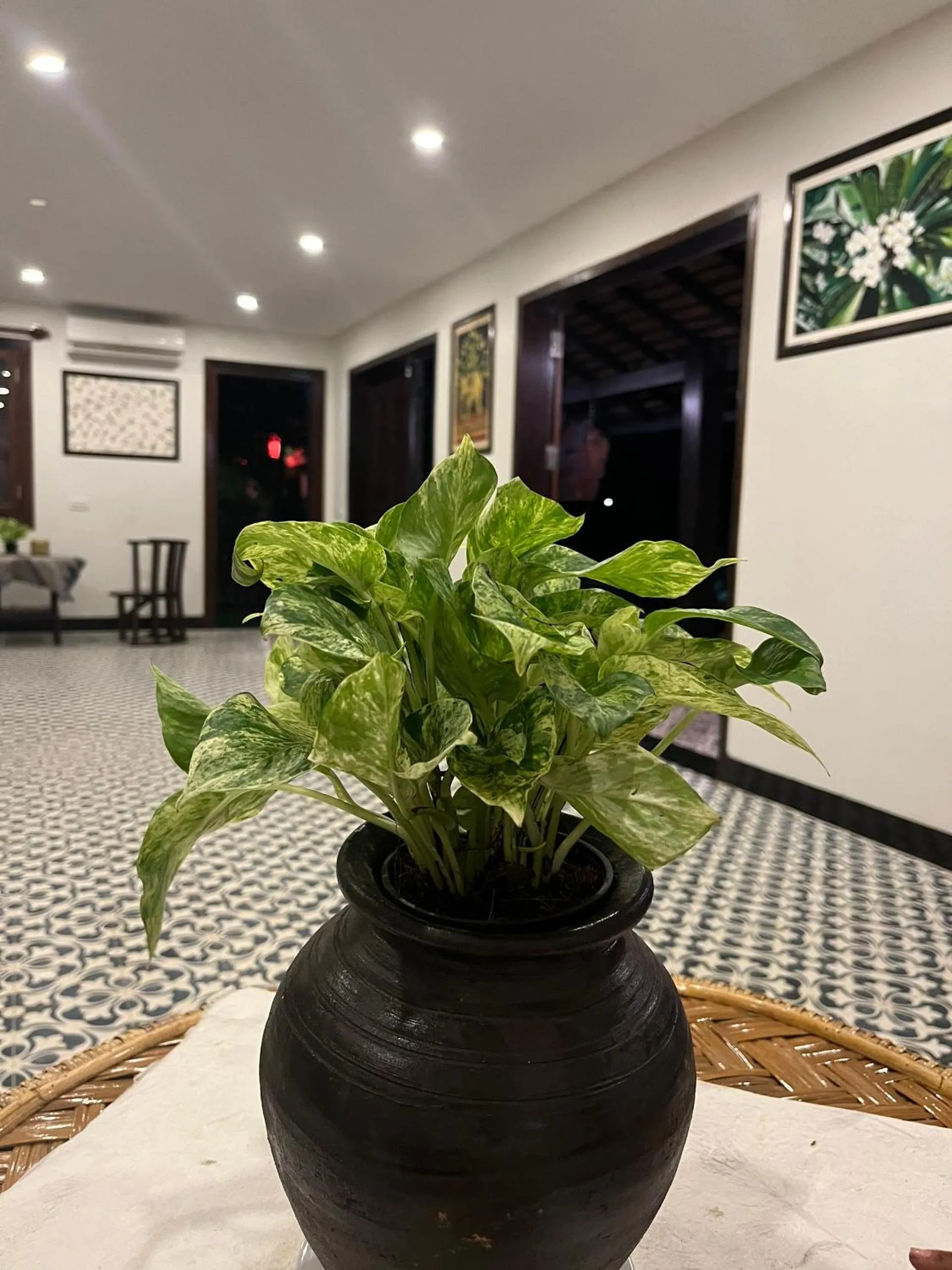 Restaurant/places to eat in Villa Namkhan Heritage