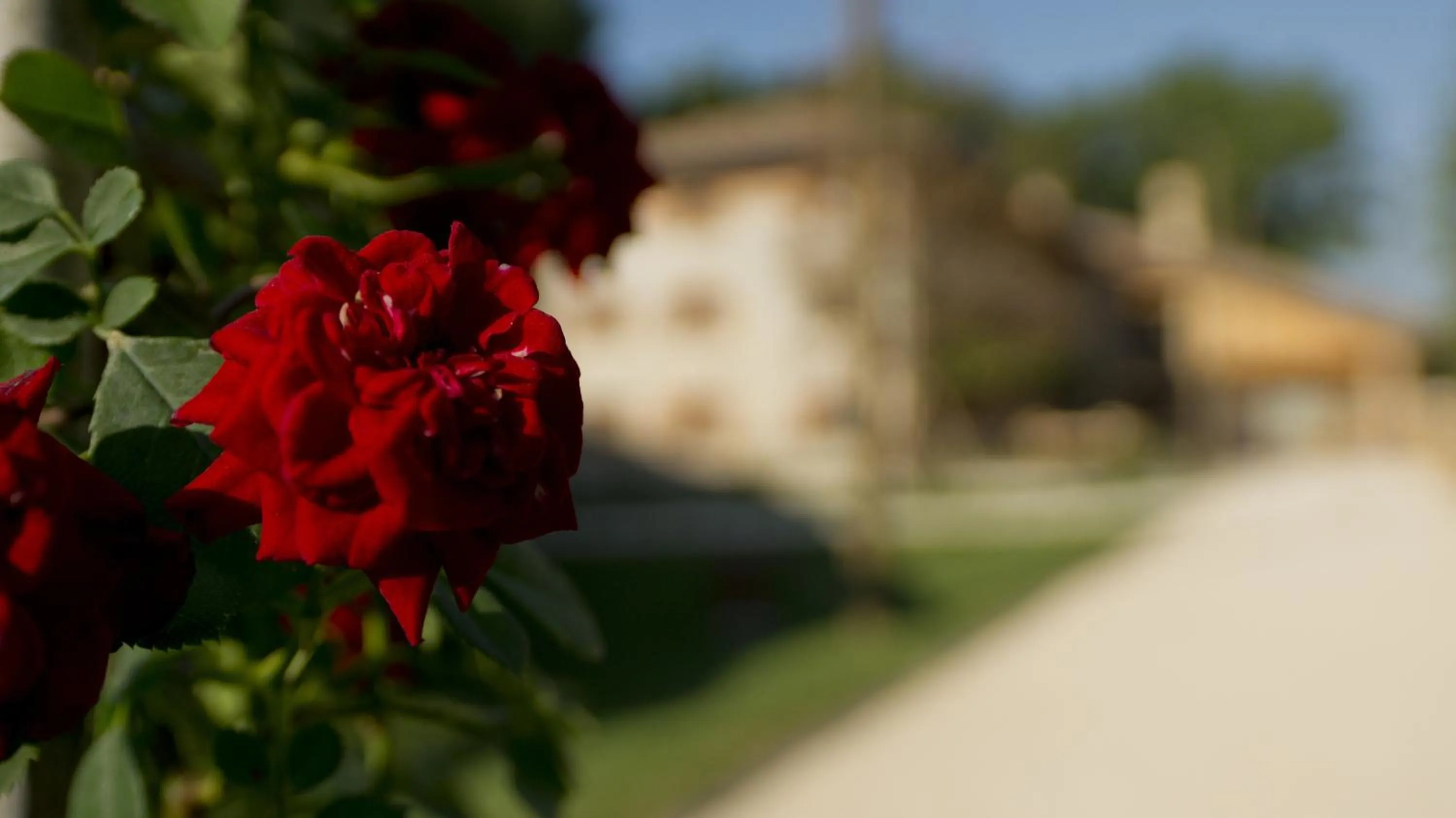 Other in Ca' Muliner