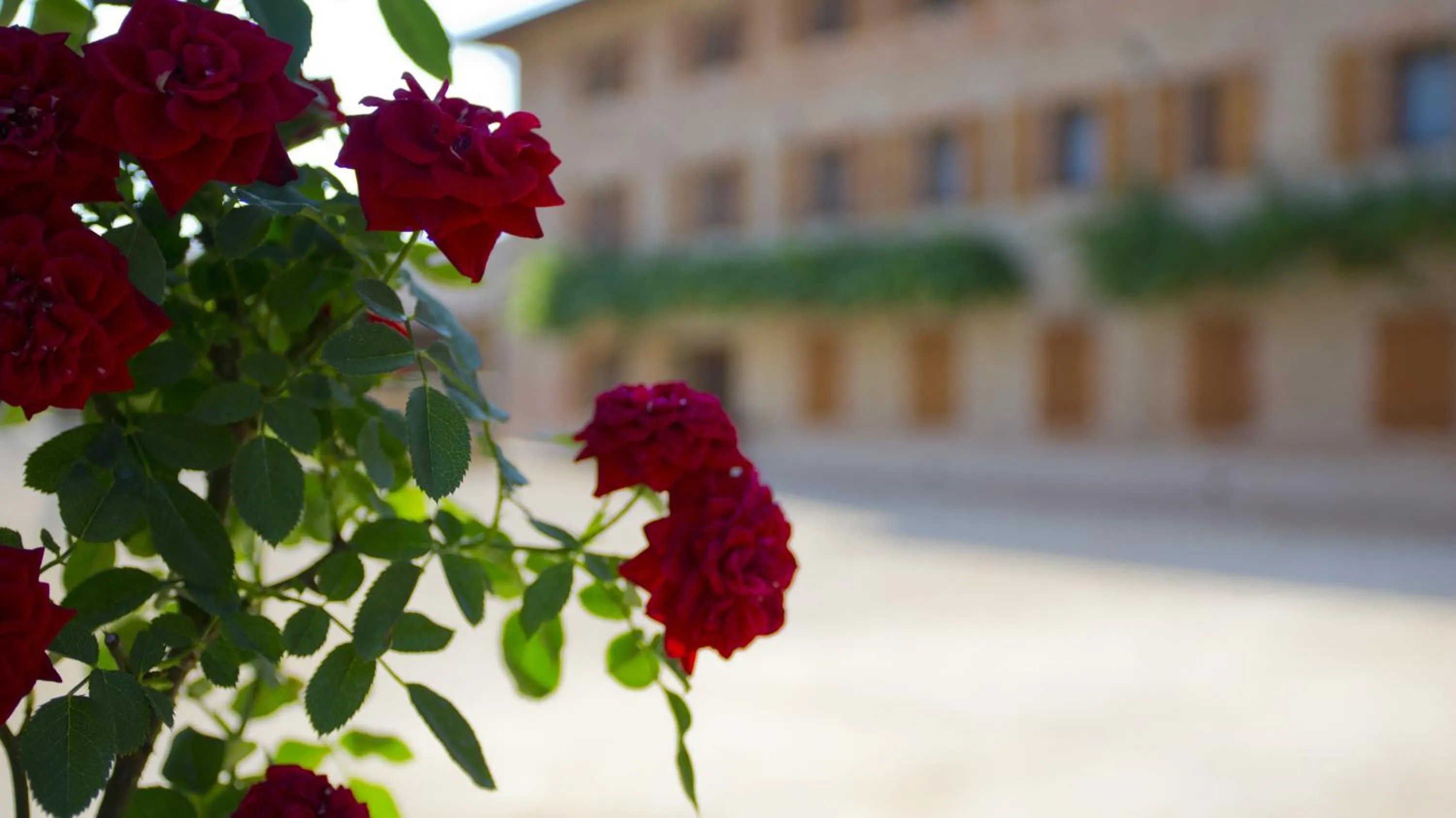 Other in Ca' Muliner