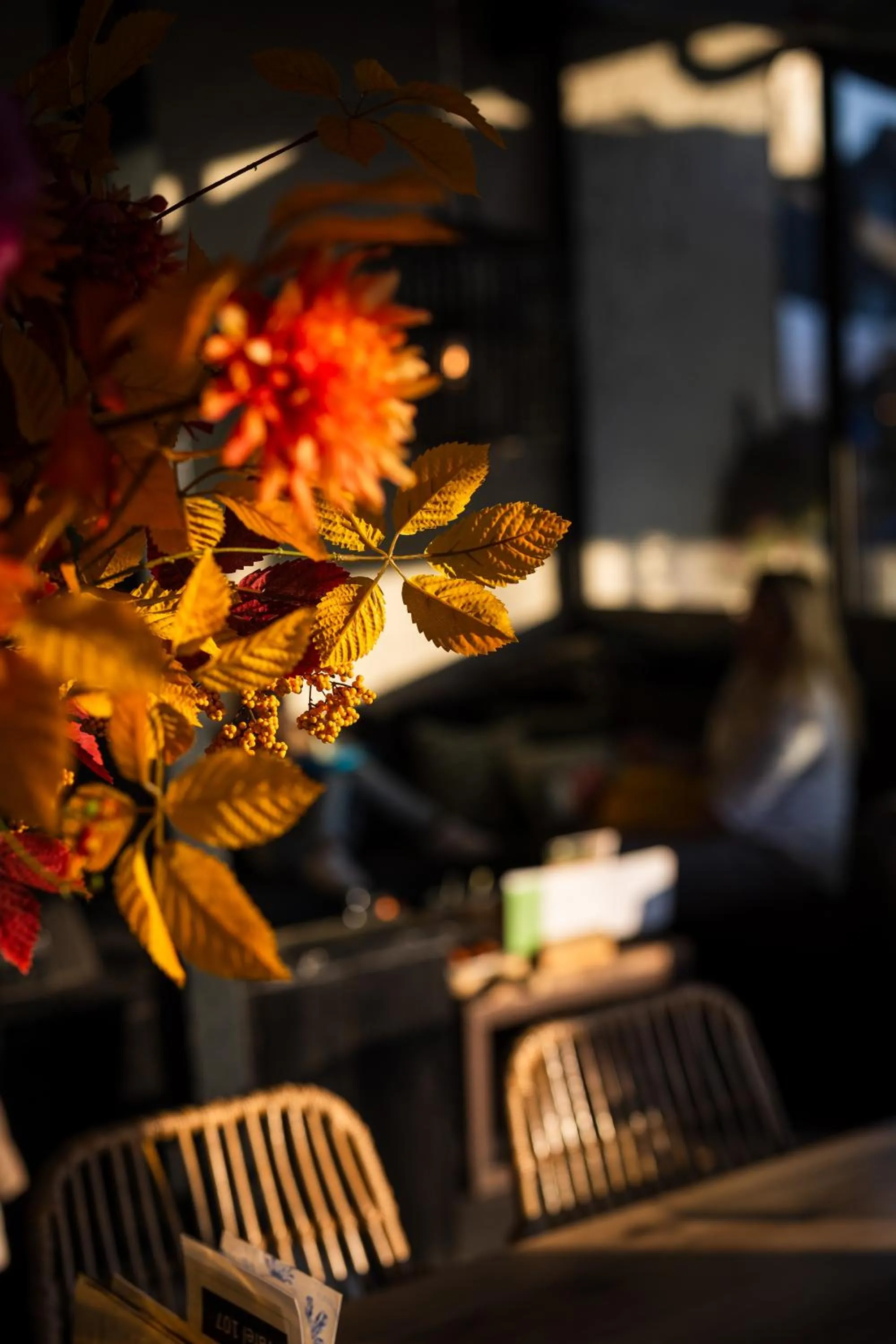Balcony/Terrace in Hotel Restaurant 'de Vossenberg'