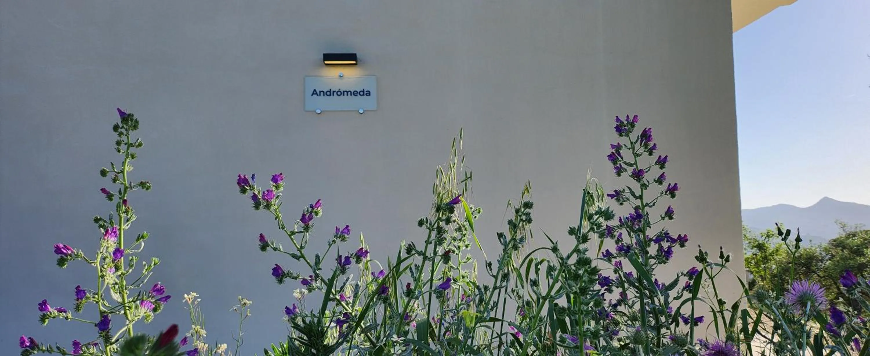 Spring in Las estrellas del duende