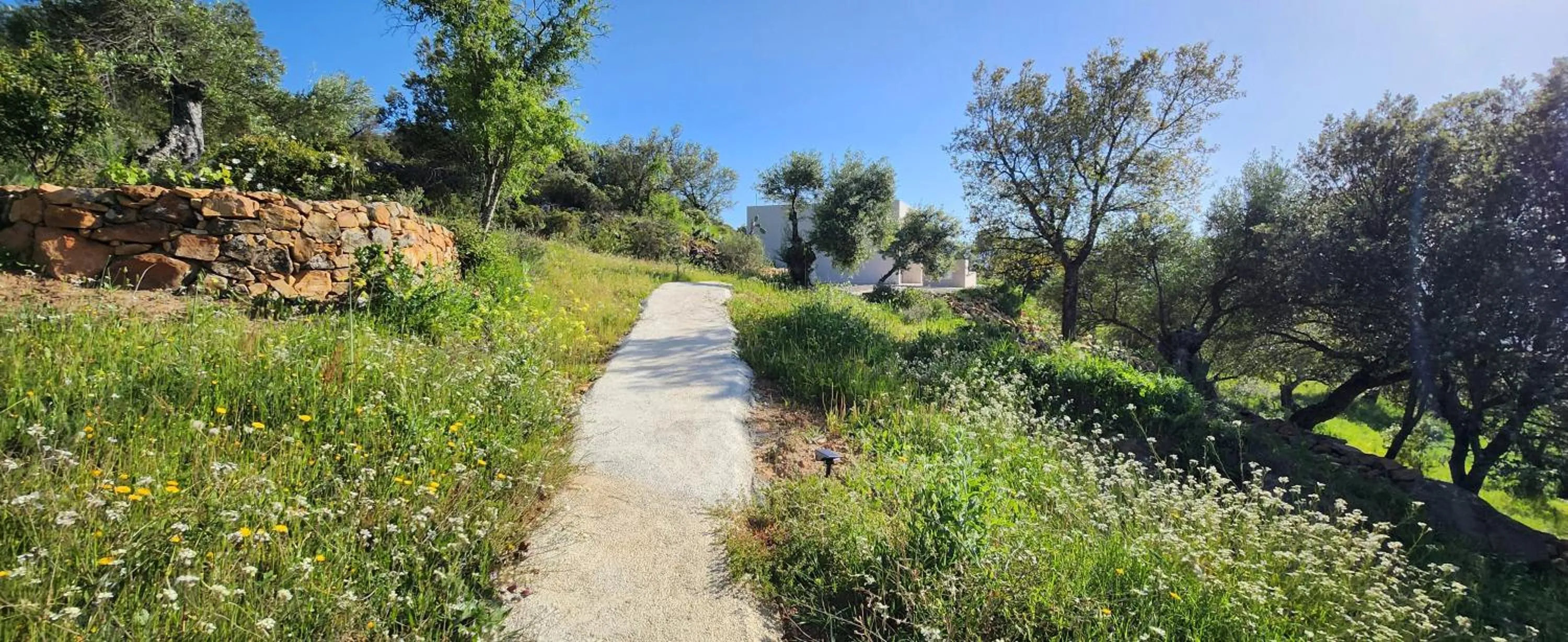 Spring in Las estrellas del duende