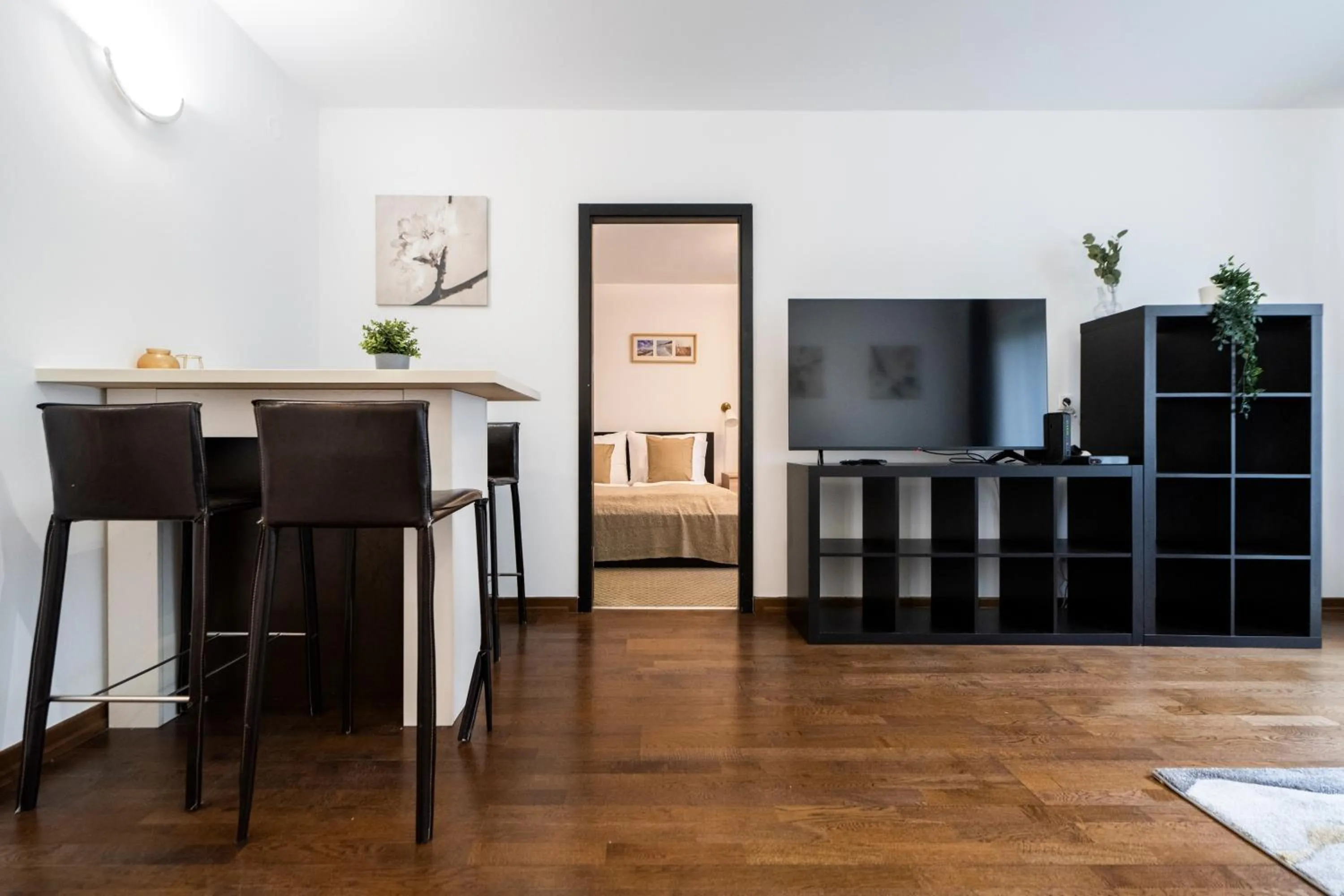 TV and multimedia in SWU Opera