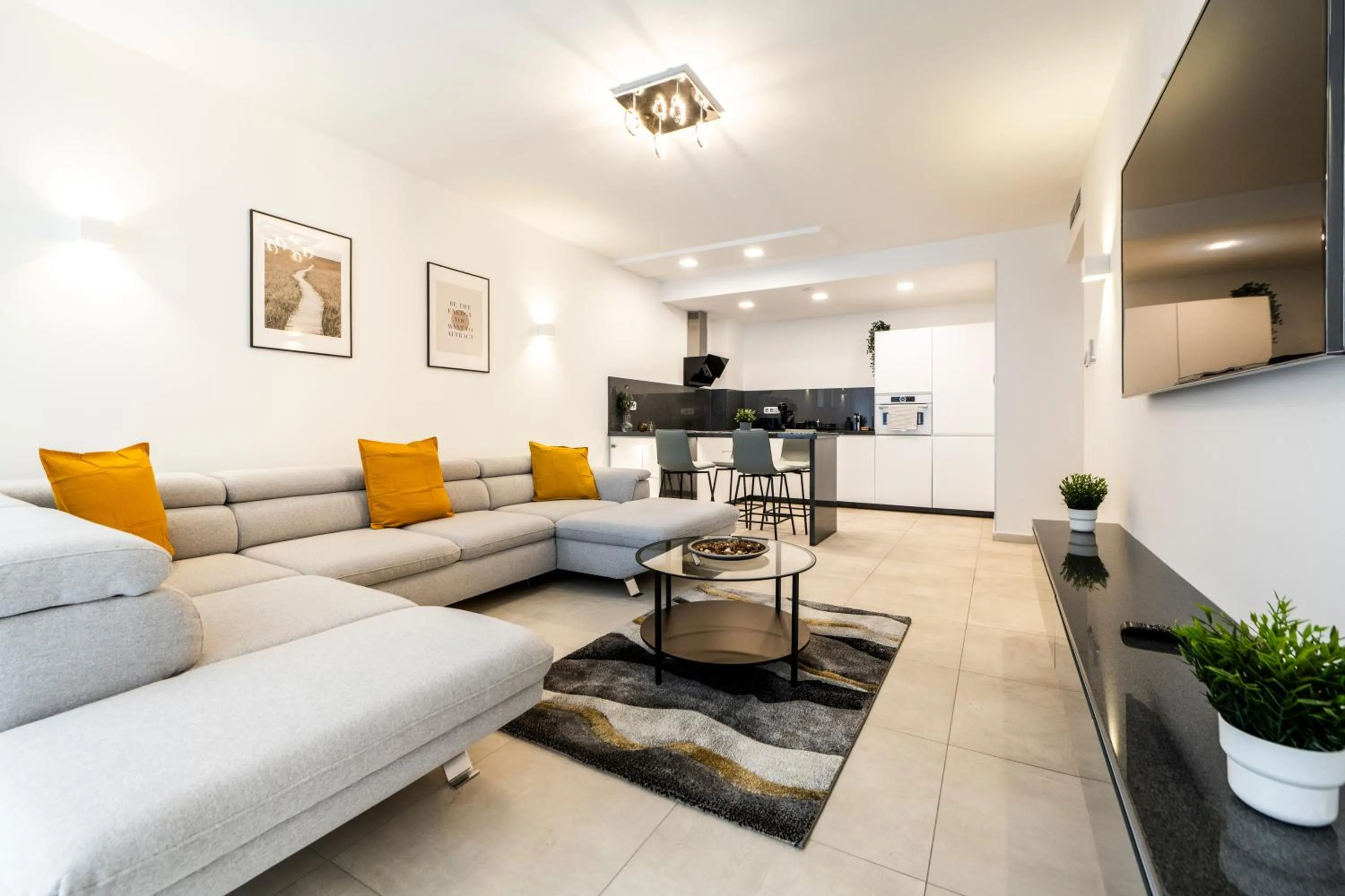 TV and multimedia in SWU Opera