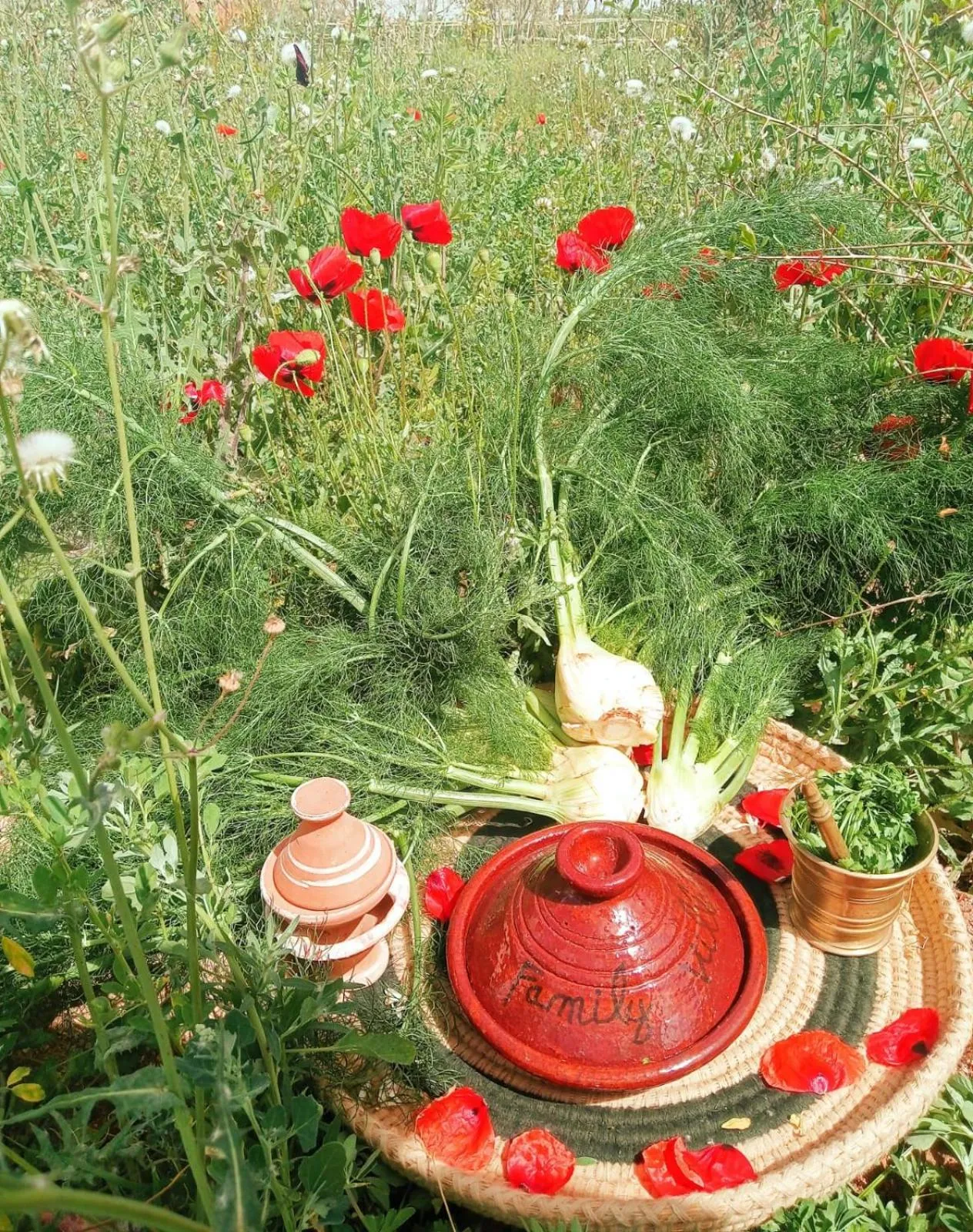 Garden in Family Village Marrakech