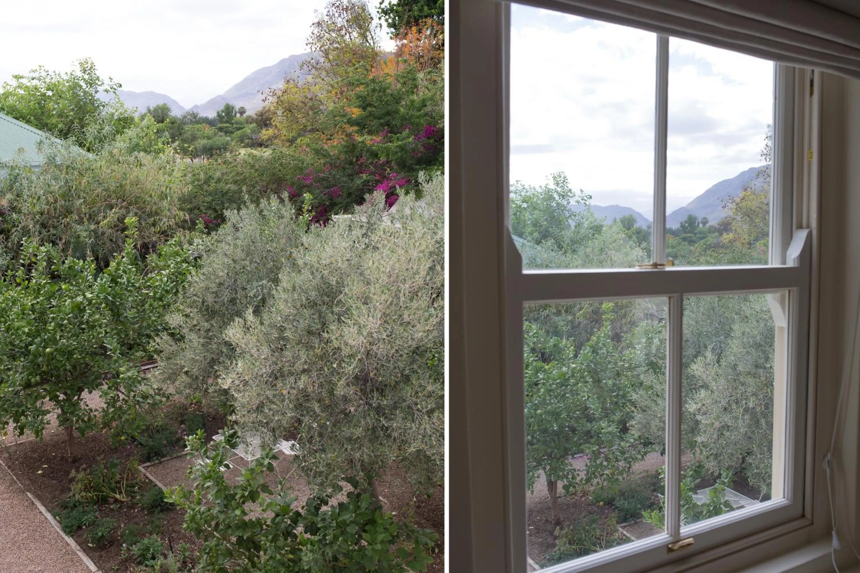 Mountain view in Prince Albert Country Stay