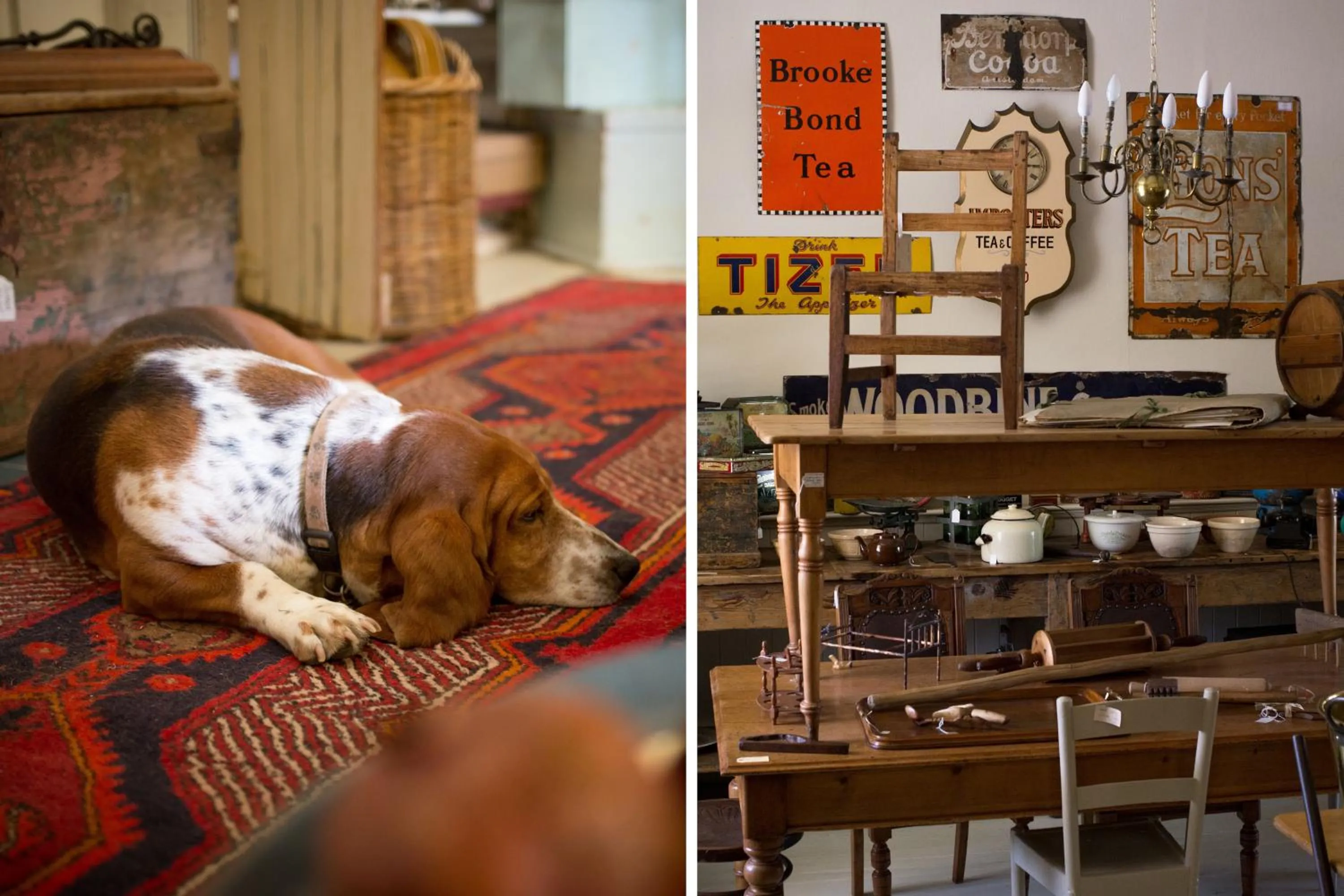 On-site shops in Prince Albert Country Stay