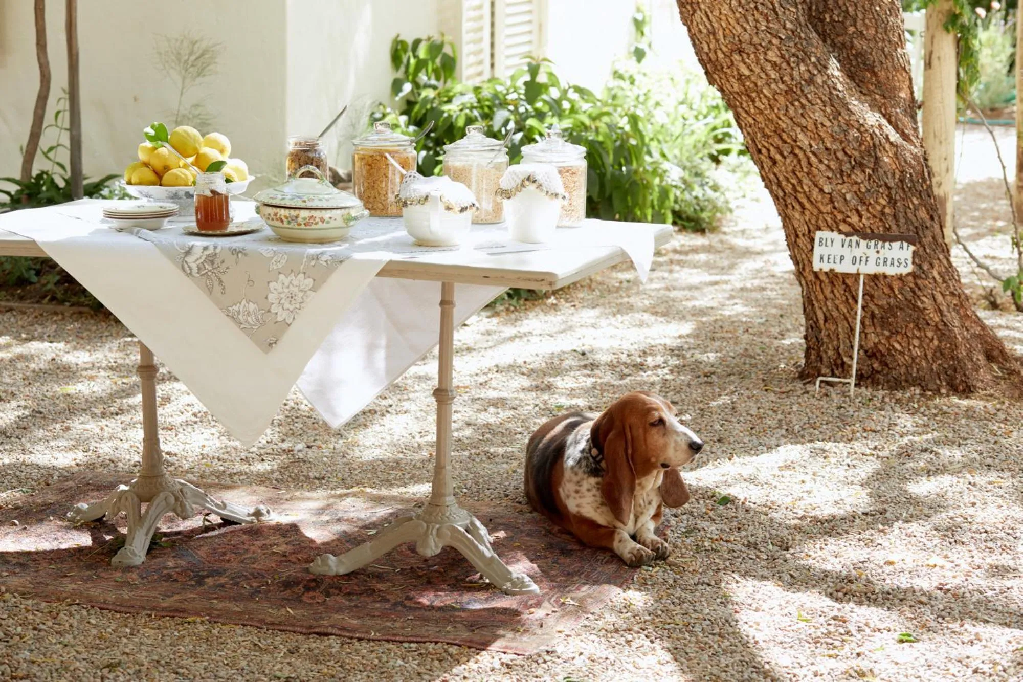 Pets in Prince Albert Country Stay