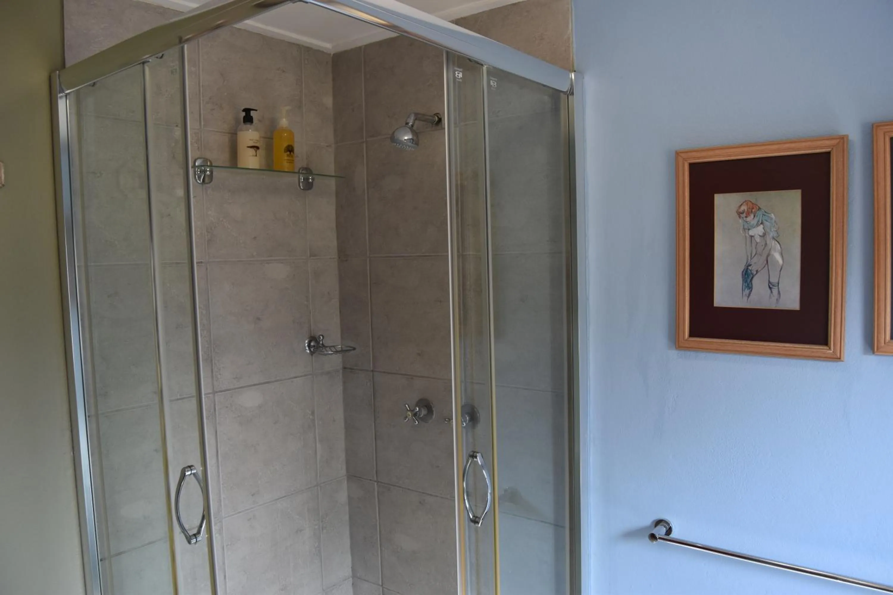 Shower in The Clarens Country House