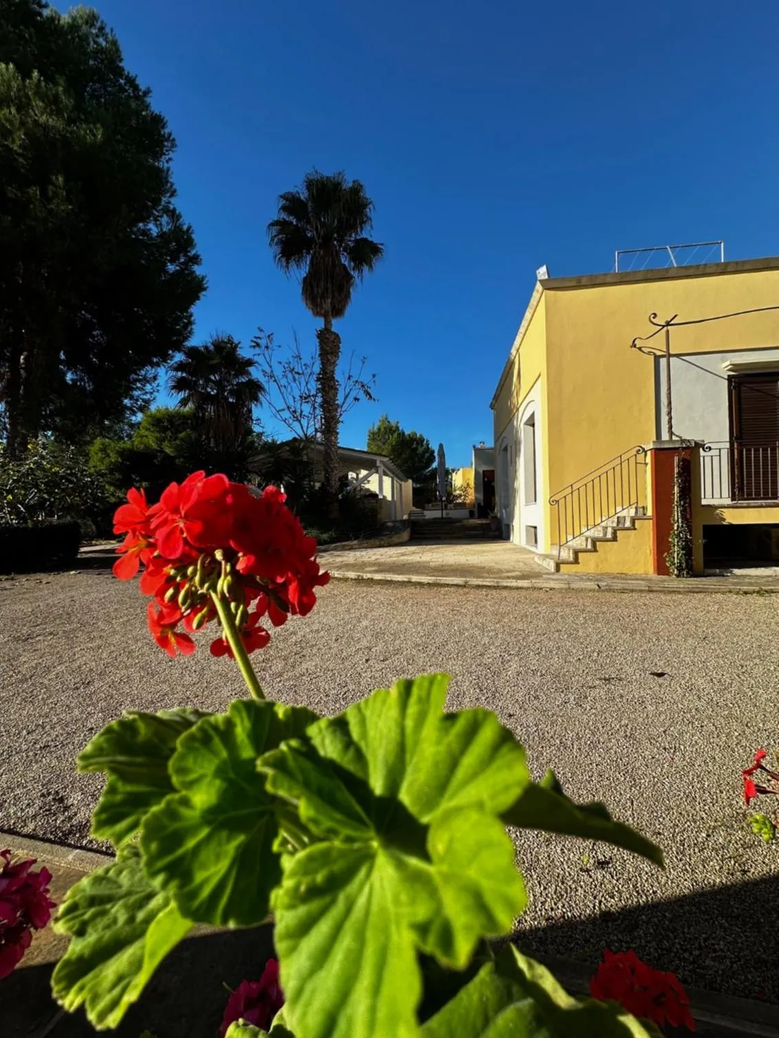 Garden in Agriturismo Il Trappeto