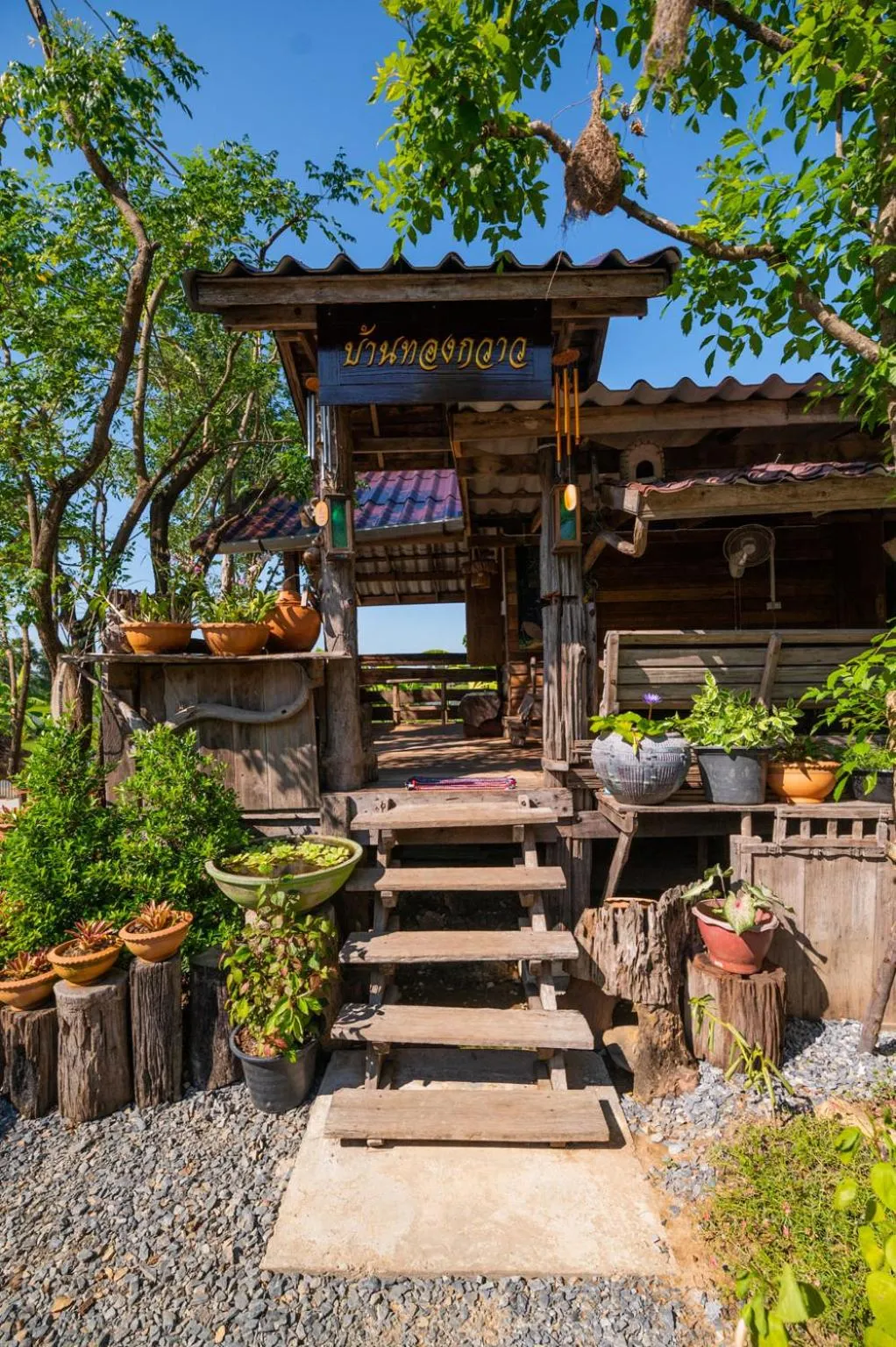 Spring in Suk Sabai Homestay