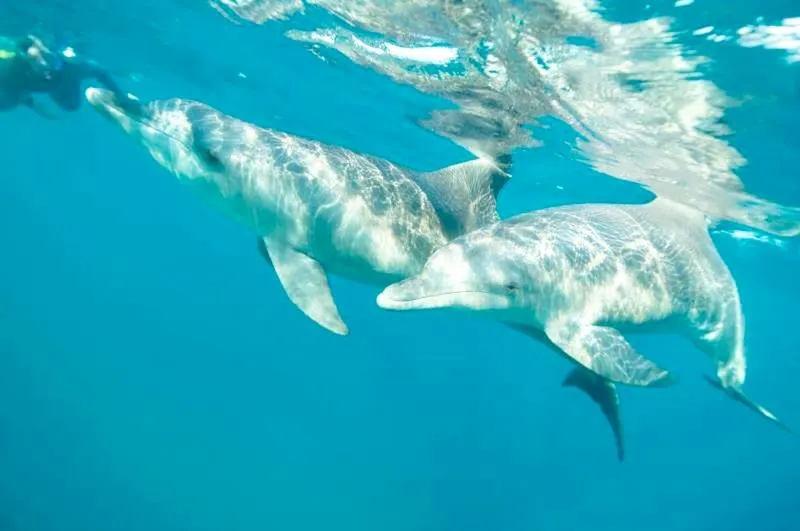 Activities in Promised Land Lodge