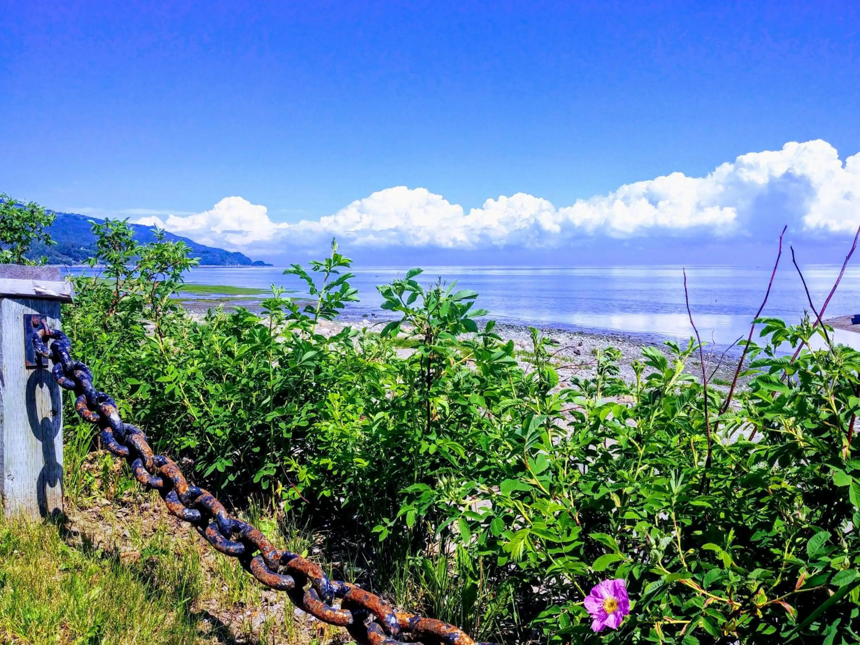 Off site in Auberge de la rive de Charlevoix - Auberge de jeunesse familiale pour voyageurs de tous âges
